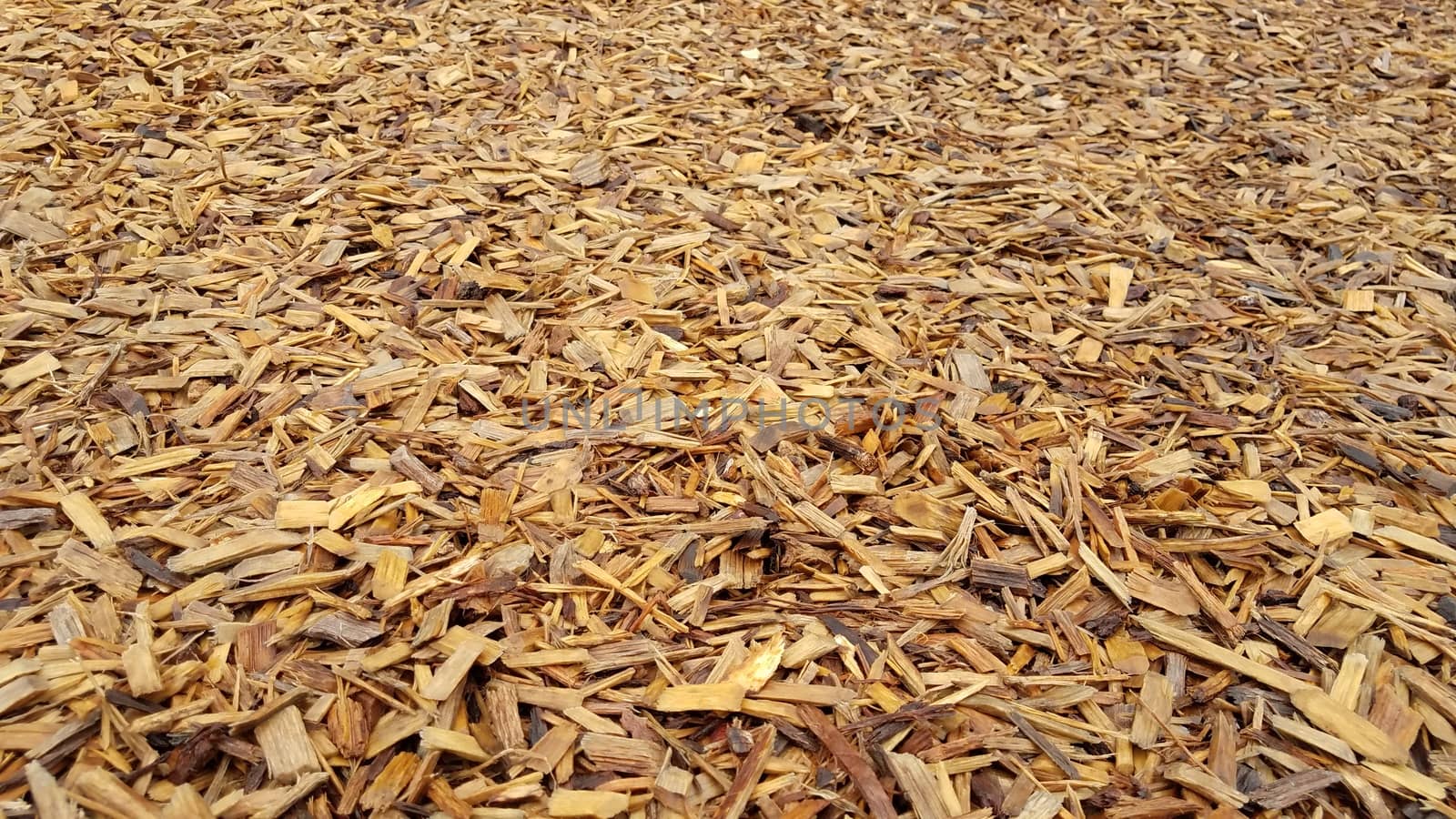 wet brown wood chips or mulch or bark dust on ground by stockphotofan1