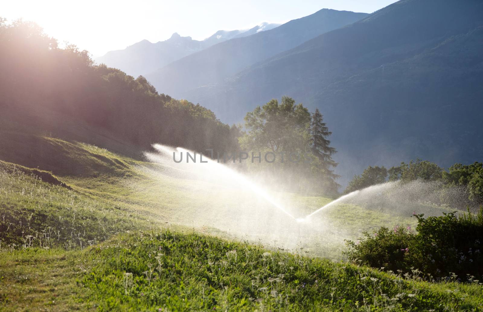 Sprinkler watering a lawn in Switserland by michaklootwijk