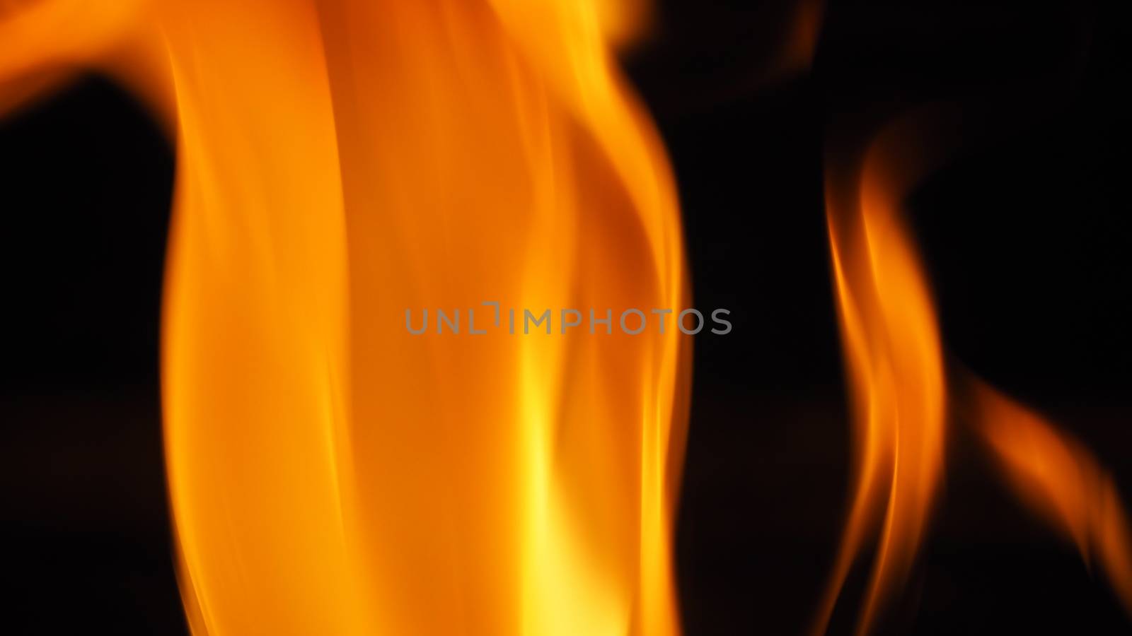 Close-up images of fire burning on black background by gnepphoto