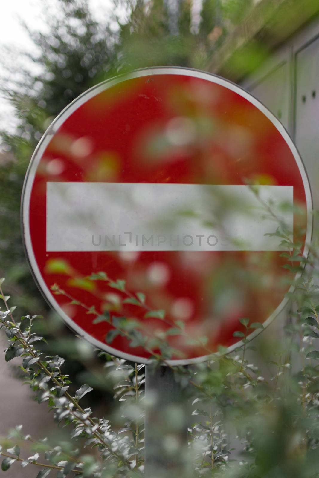 A sign prohibiting access hidden by vegetation.