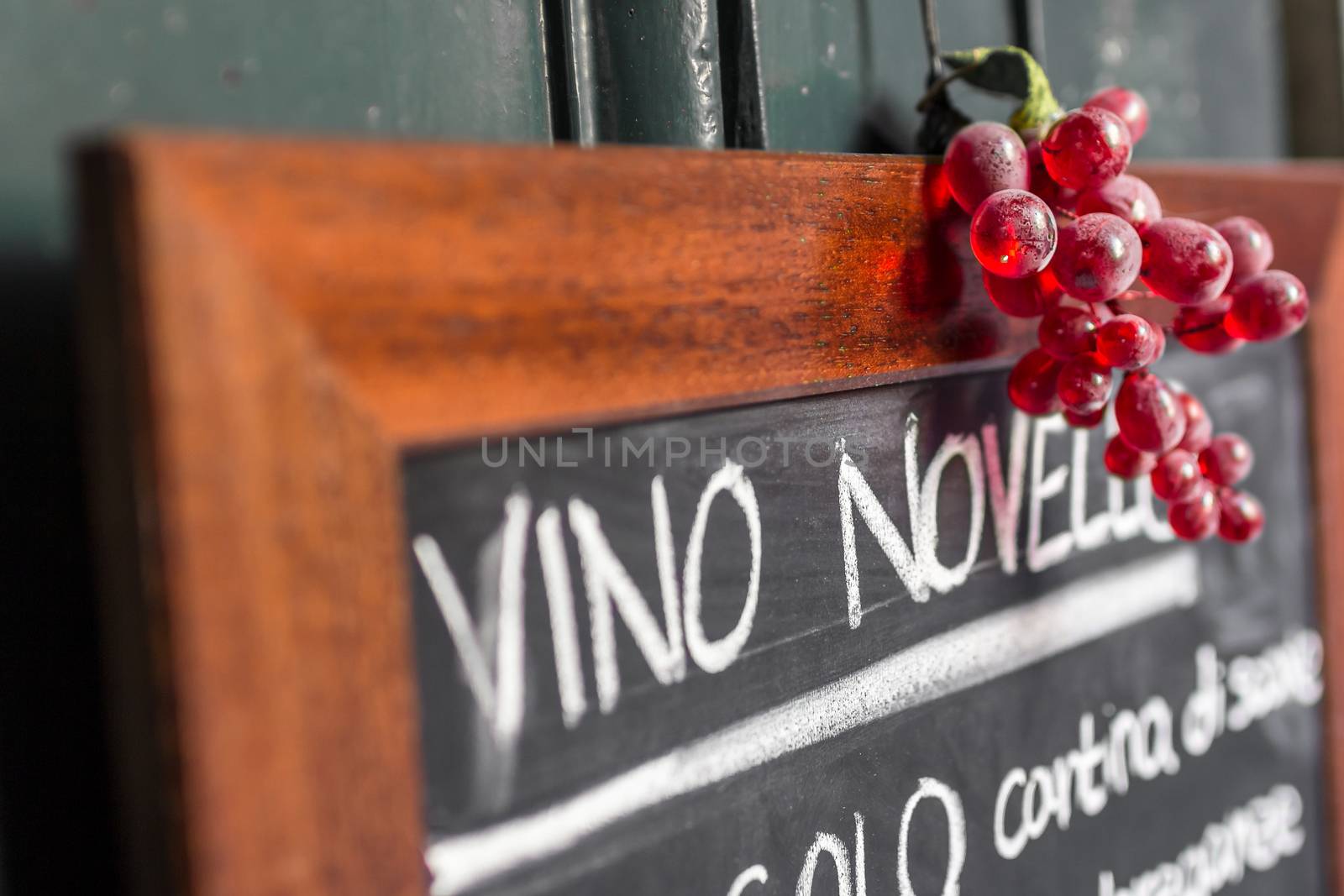 New wine house on the menu of the day.