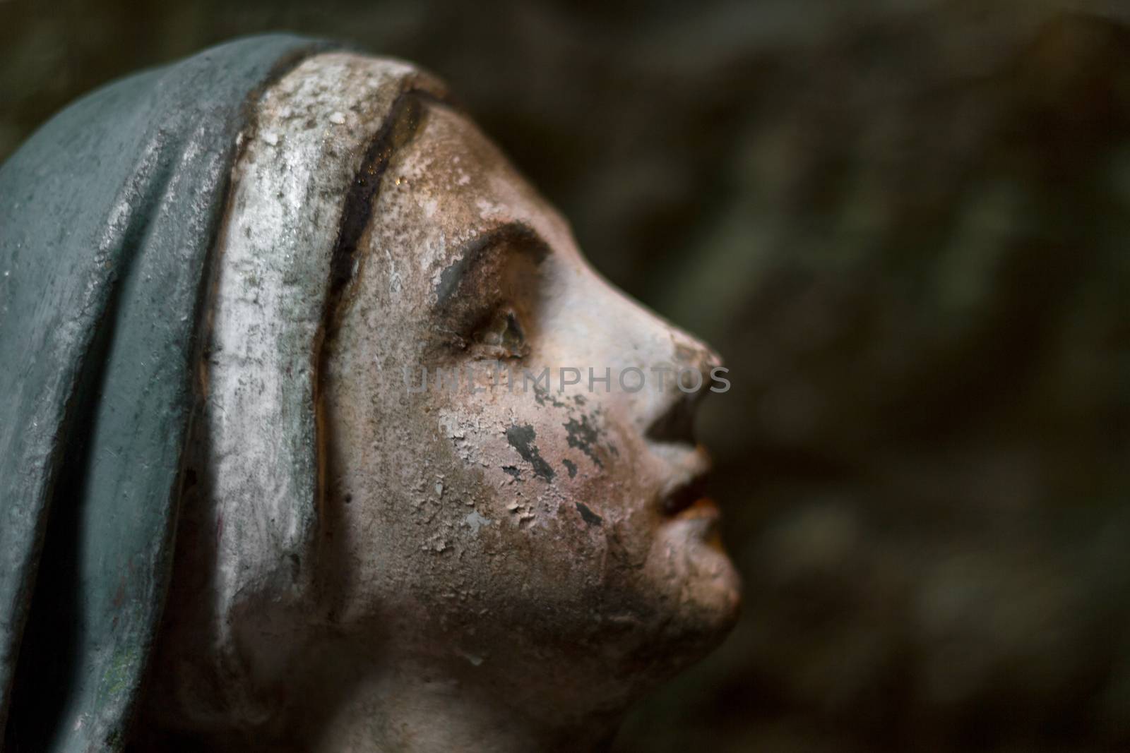 The face of the Virgin Mary in prayer