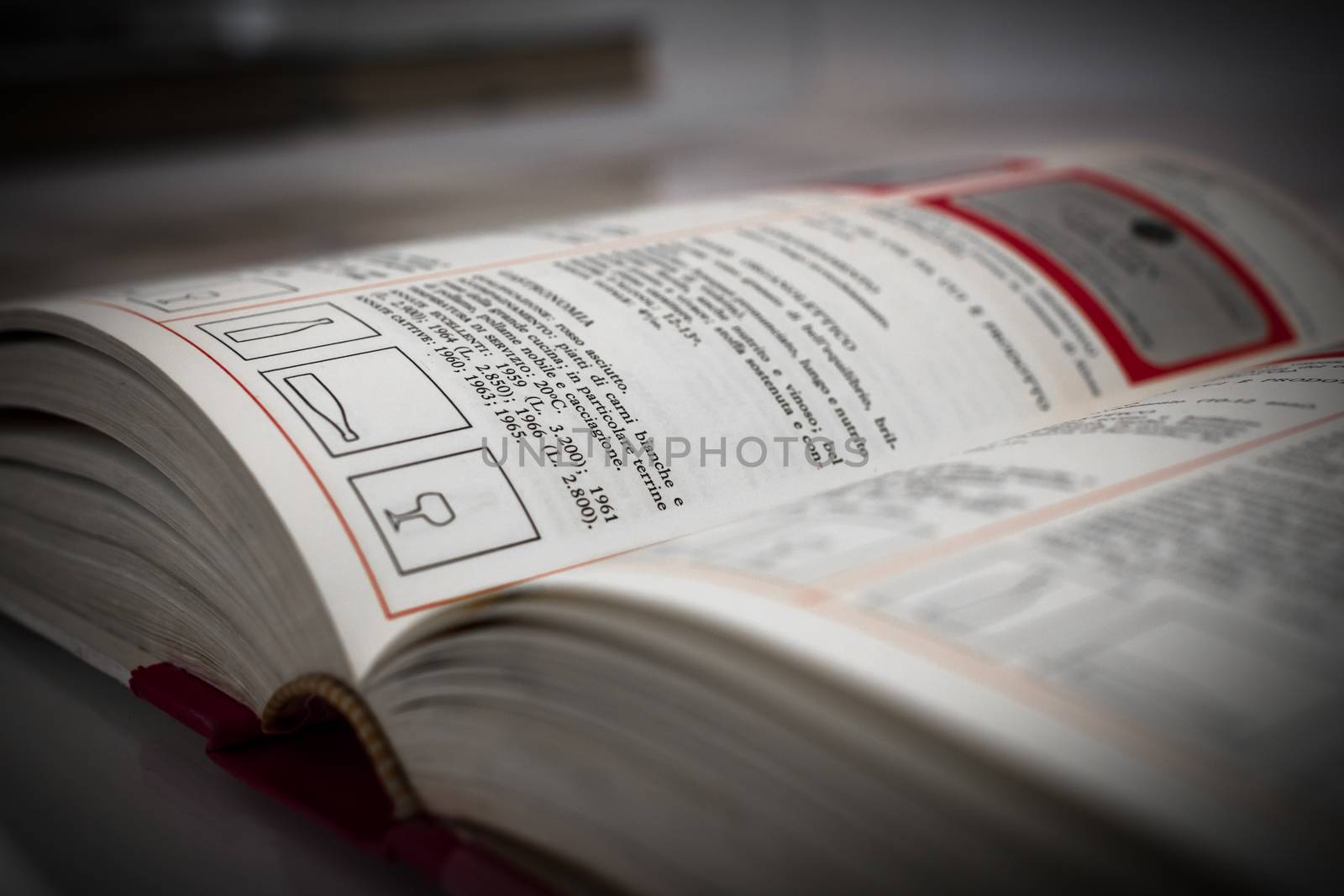 Extreme close-up of an open book, on blurred background.