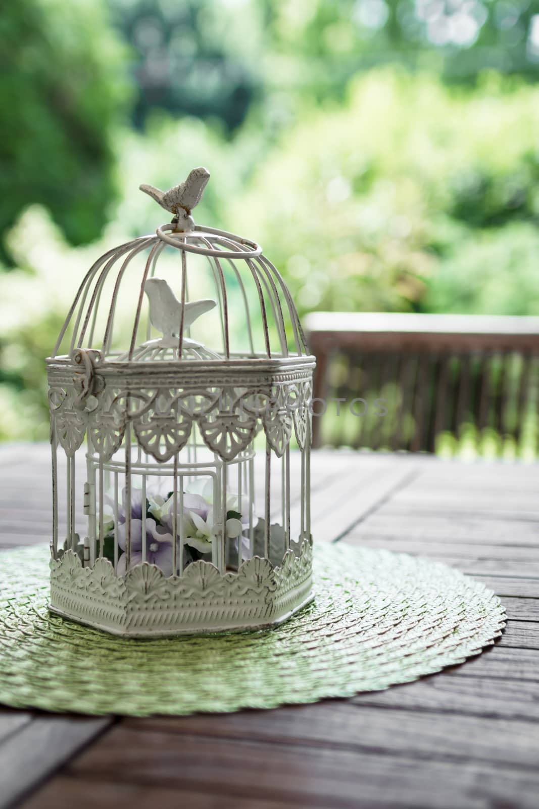 An old aviary garden, used as a flower pot.