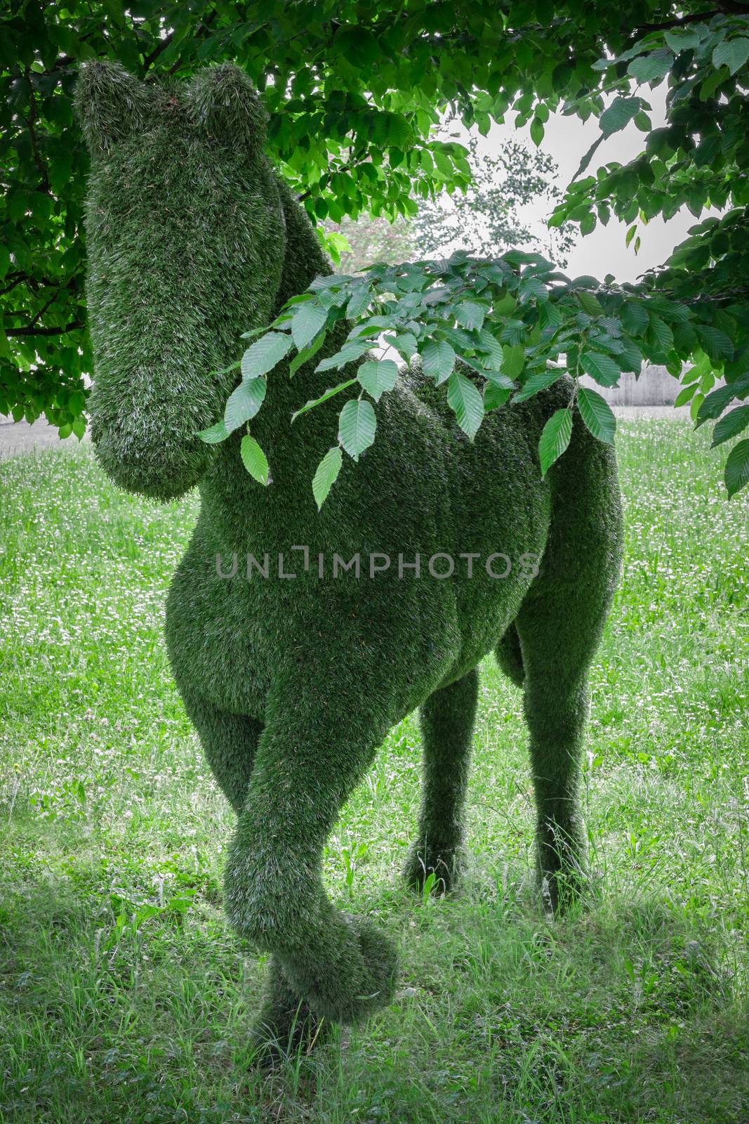 A hedge shaped of a horse in a botanic garden.
