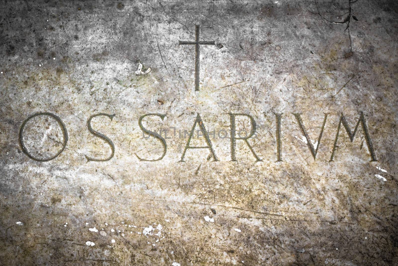 A tombstone dating back to medieval Italian, which houses the bones of plague victims of 1600.