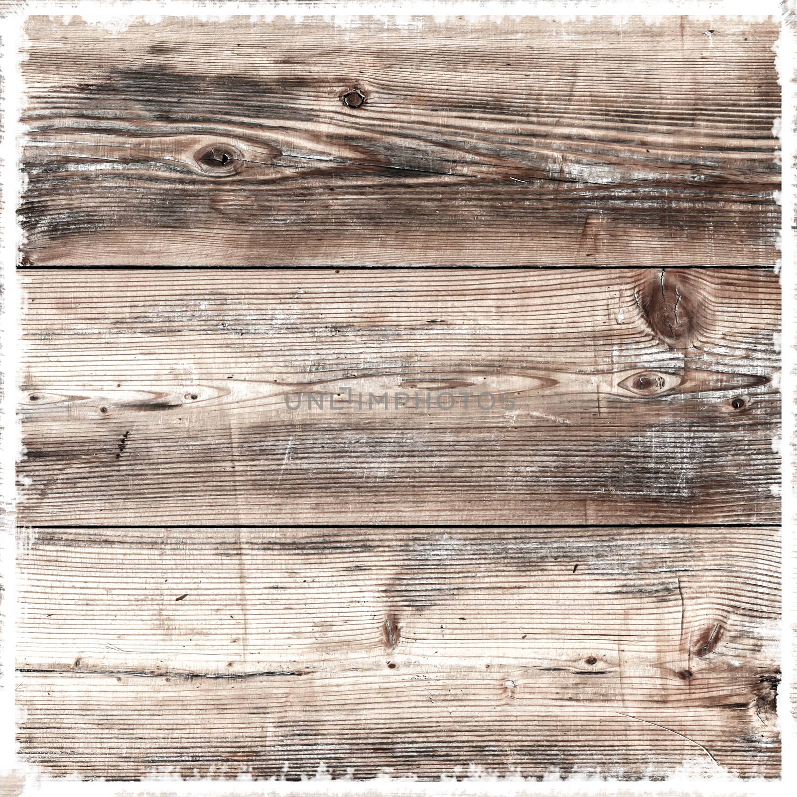 Texture of wood background closeup with grungy frame. For your creative background.