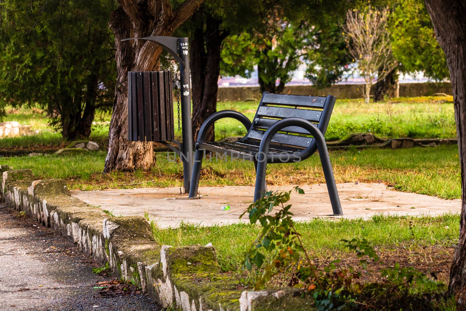 Isolated empty bench in a park on a sunny day.