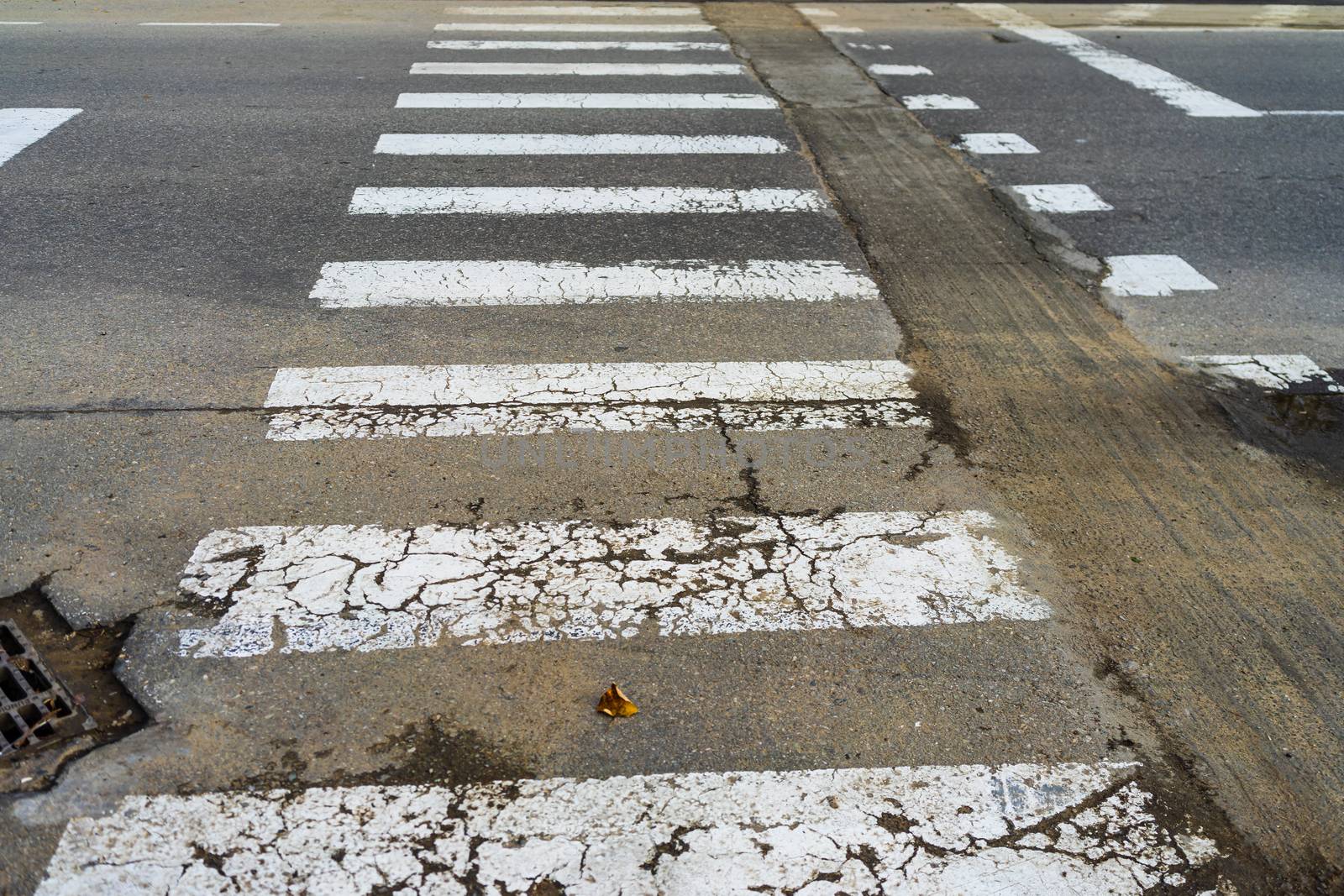 Empty pedestrian crossing, crosswalk on the road isolated by vladispas