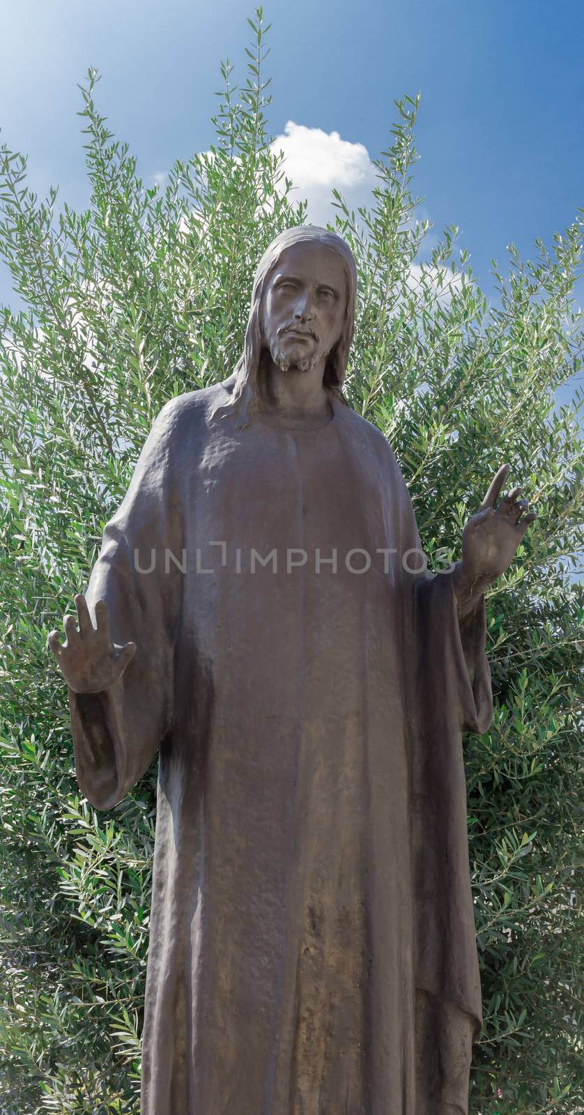 Bronze sculpture of Jesus christ. The Redeemer has his arms open, he wears a tunic. Green plant on the background.