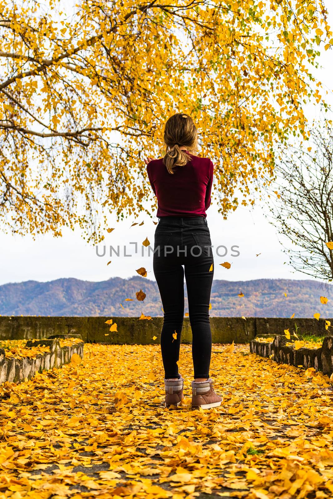  Autumn leaves fallen on alone woman walking on the autumn alley by vladispas