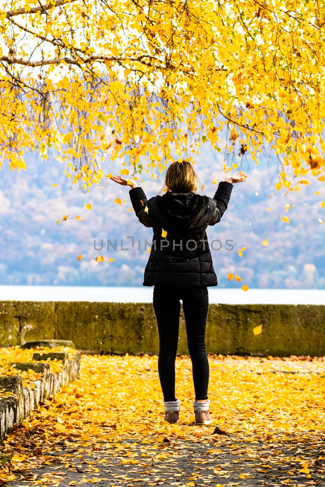 Back view of alone woman enjoying autumn, throwing fallen leaves on autumn alley. Autumn landscape, orange foliage in a park in Orsova, Romania, 2020