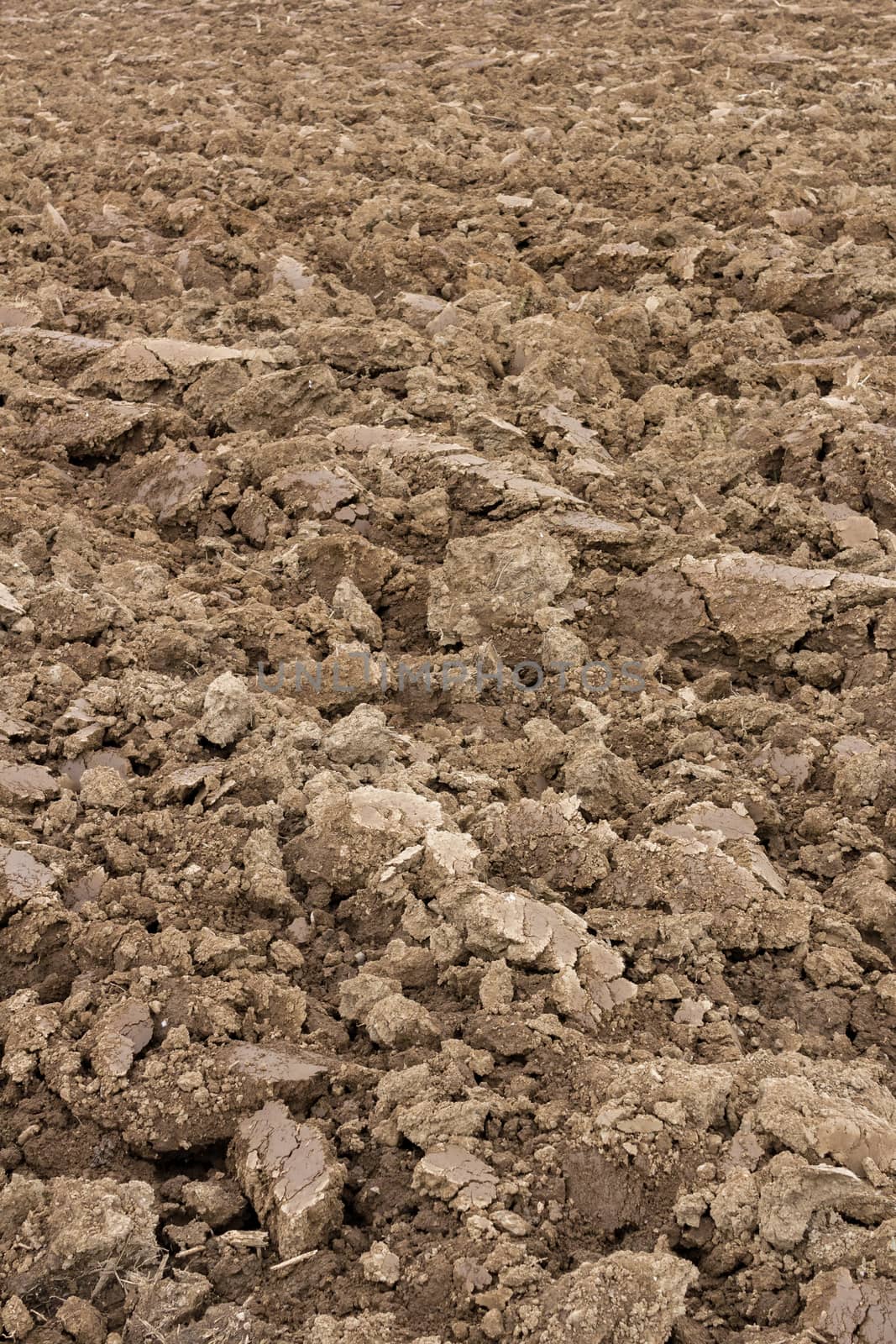 Open view on plowed ground in spring, ready for cultivation.