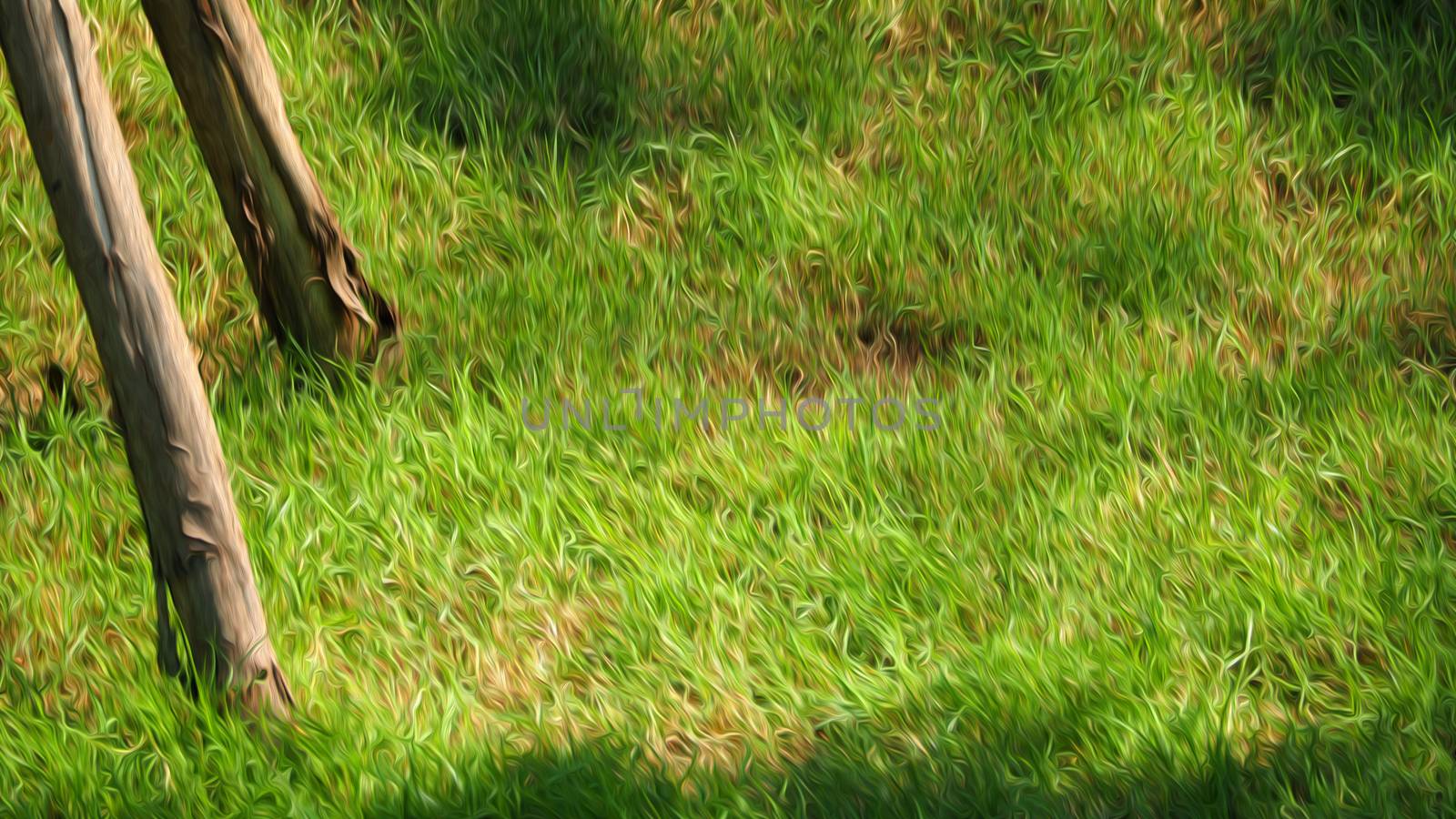 Blurry images of real natural green grass field top view angle with oil paint effect for abstract background or texture of nature which refresh mood of people.