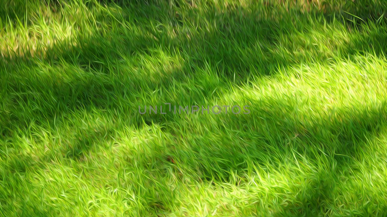 Blurry images of green grass with oil paint effect by gnepphoto