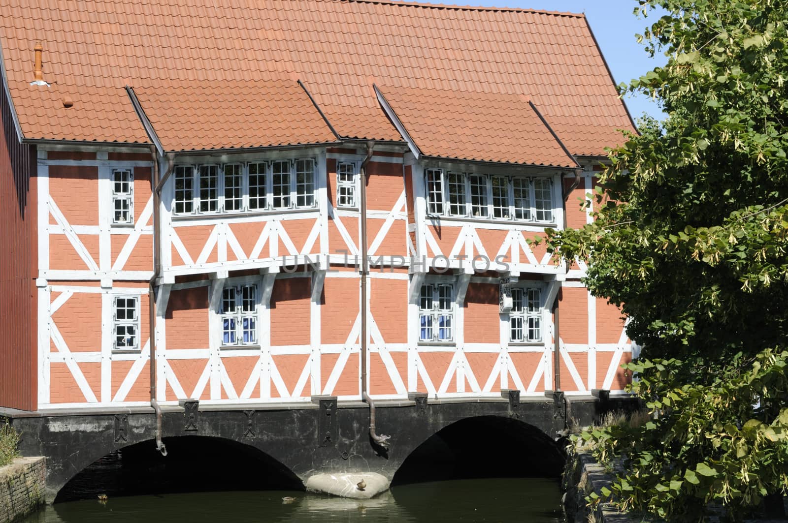 Half-timbered house called Gewoelbe, Wismar, Germany.