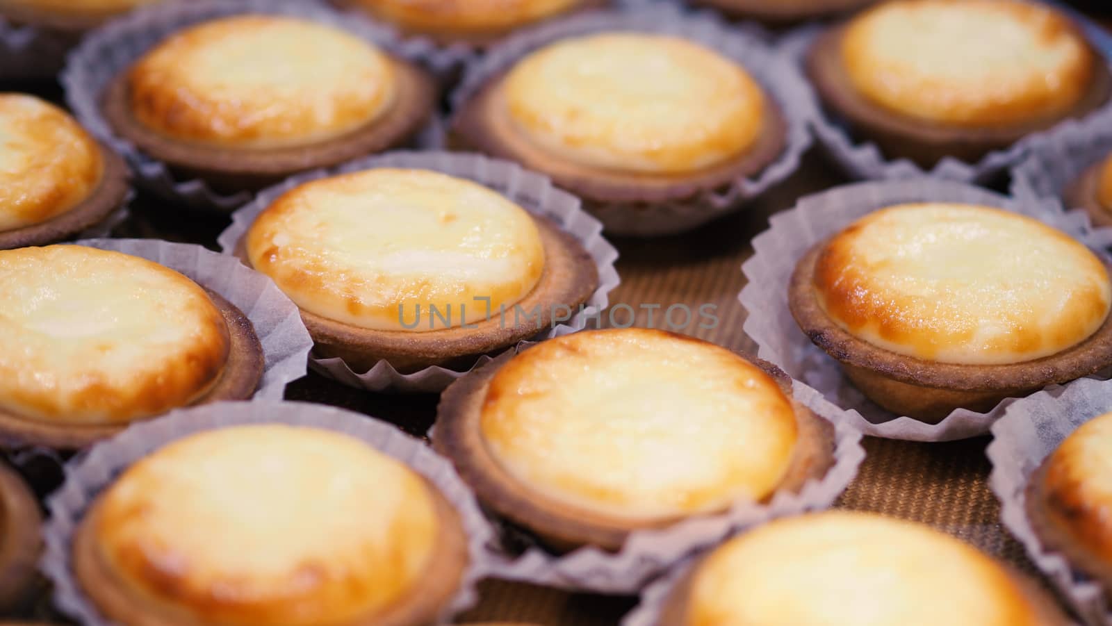 Close-up cheese tarte special fresh and unique taste baking out from oven machine everyday which delicious and very famous local sweet dessert from Otaru Hokkaido Japan.