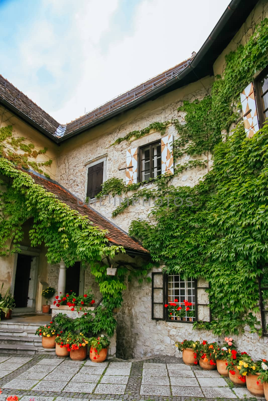 A photo around Bled Castle near Lake Bled township in Bled, Slovenia, Europe