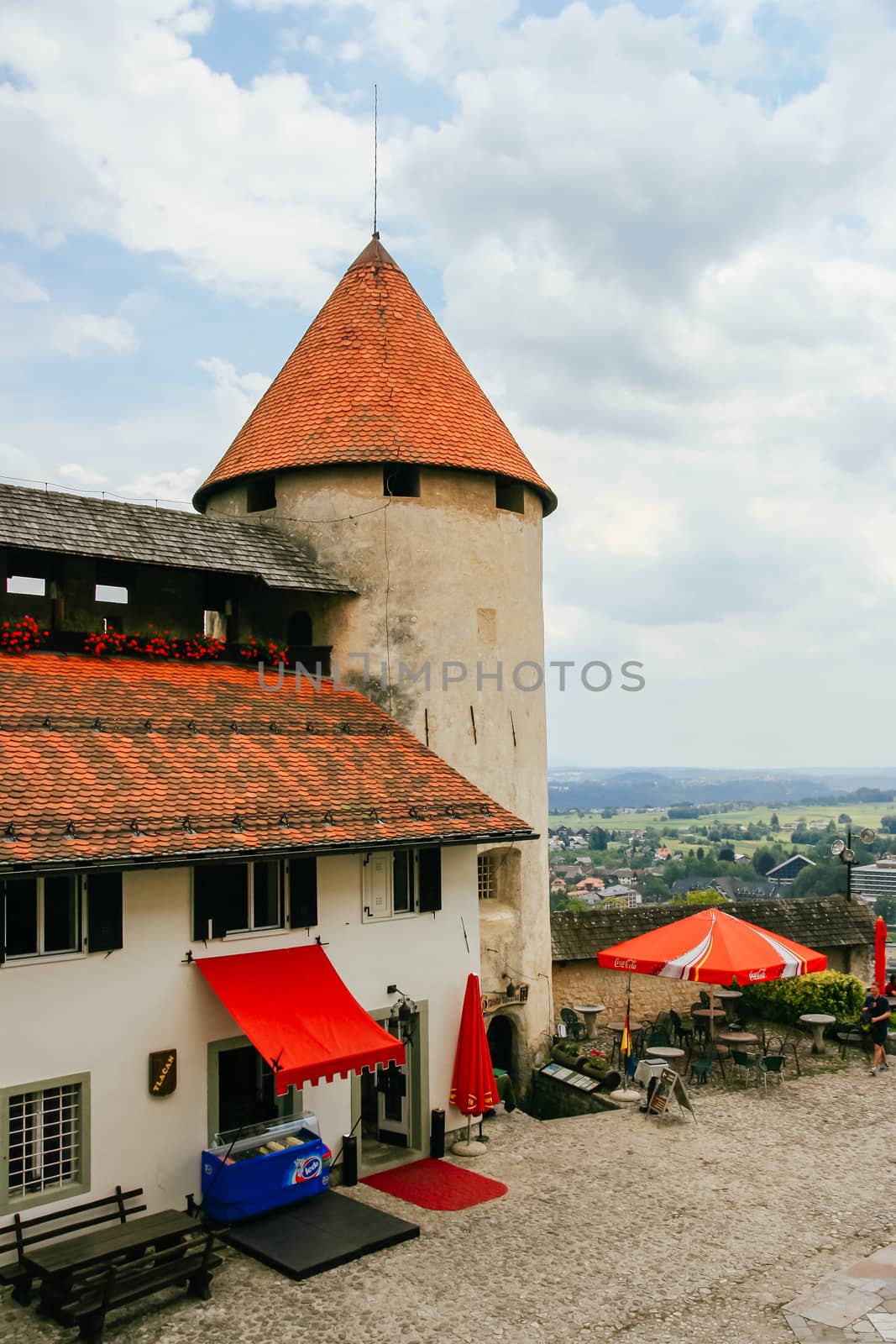 Famous Bled Castle in Slovenia by FiledIMAGE