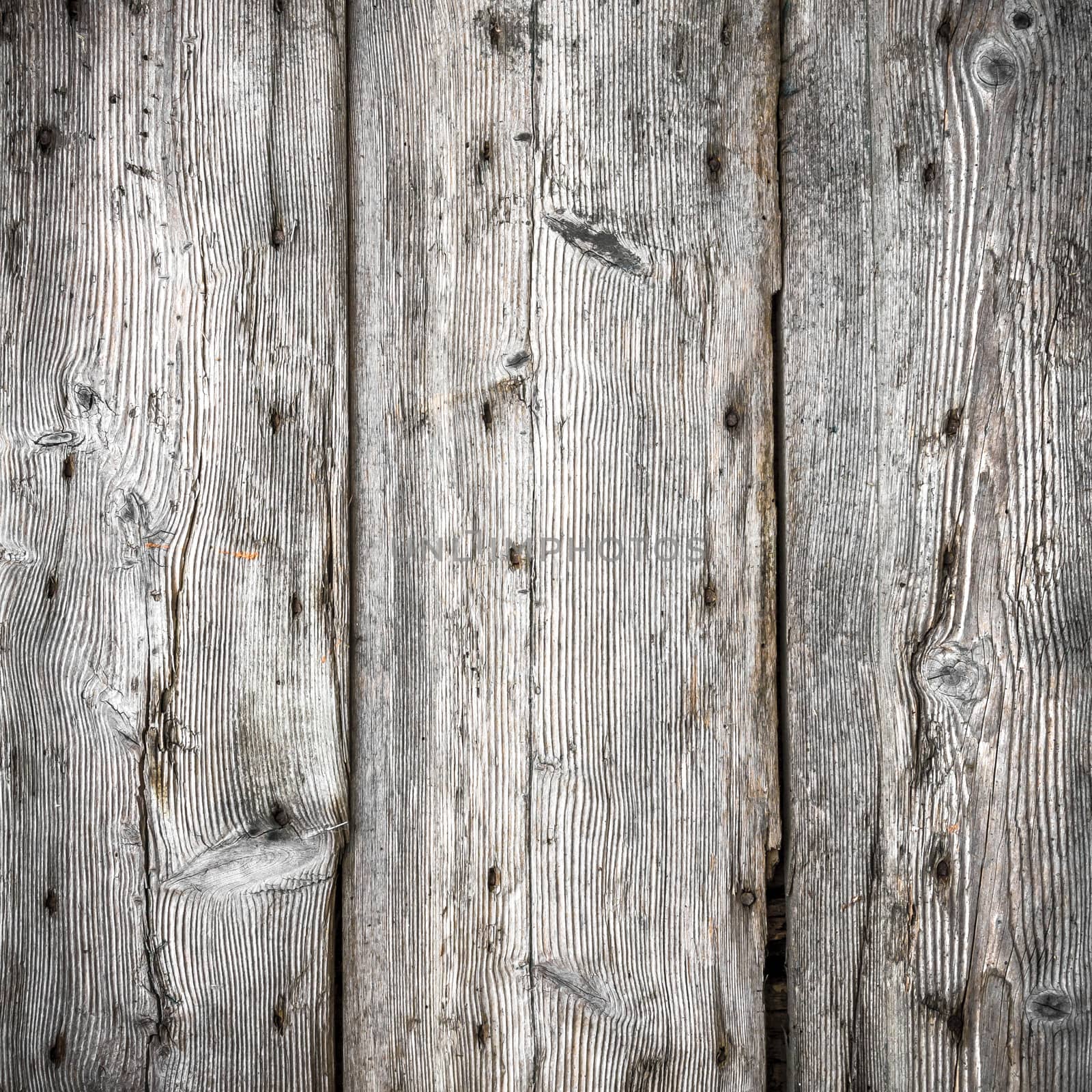 Old wood planks background by germanopoli