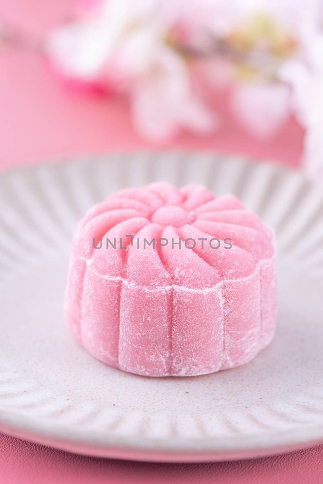 Colorful snow skin moon cake, sweet snowy mooncake, traditional  by ROMIXIMAGE