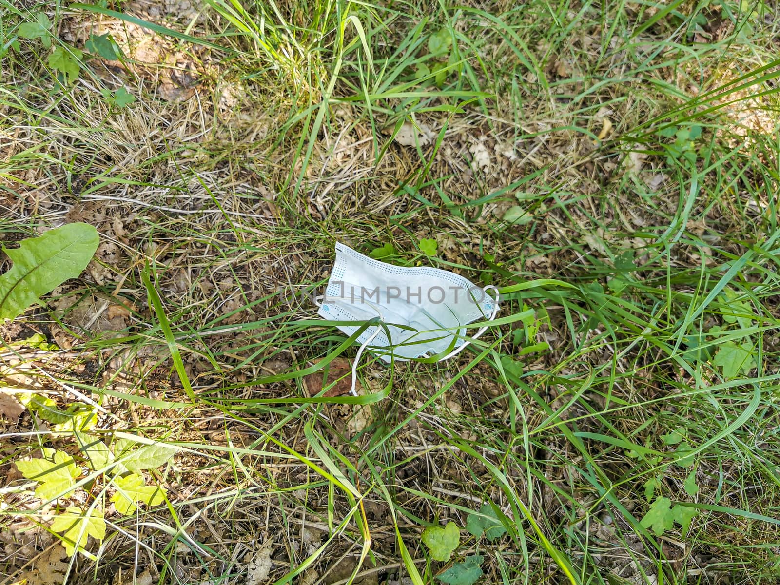 Surgical masks in nature. Corona virus pollution. Leherheide, Bremerhaven.