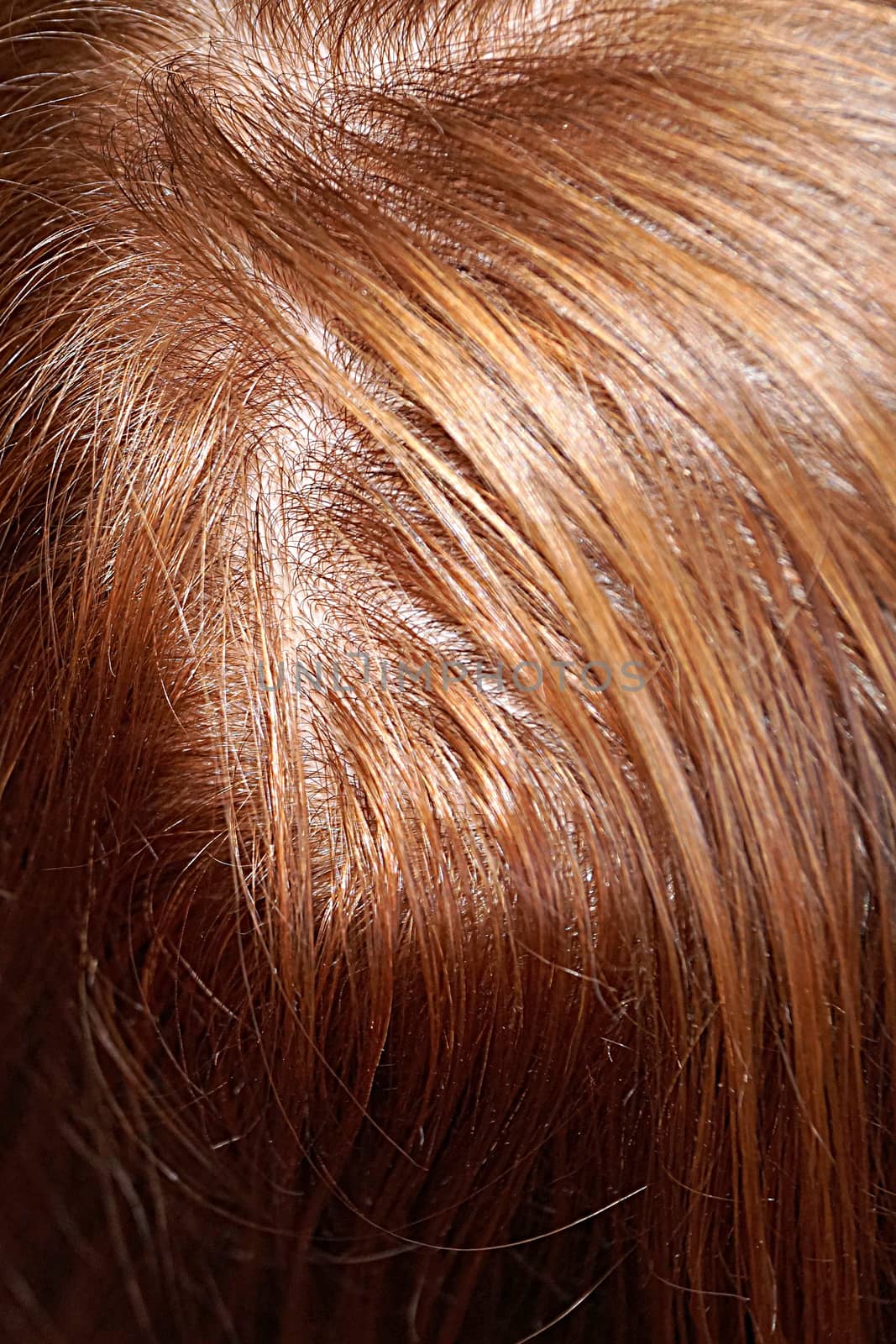 female head with red hair, top view by Annado