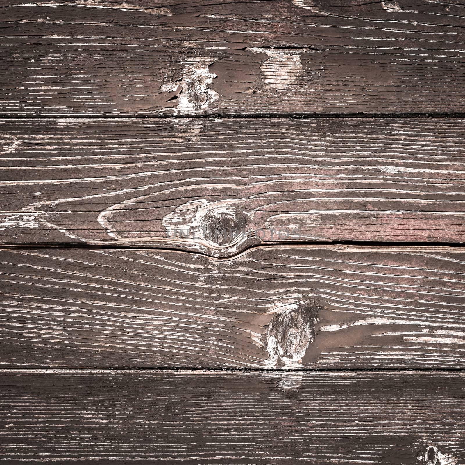 Wood texture background by germanopoli