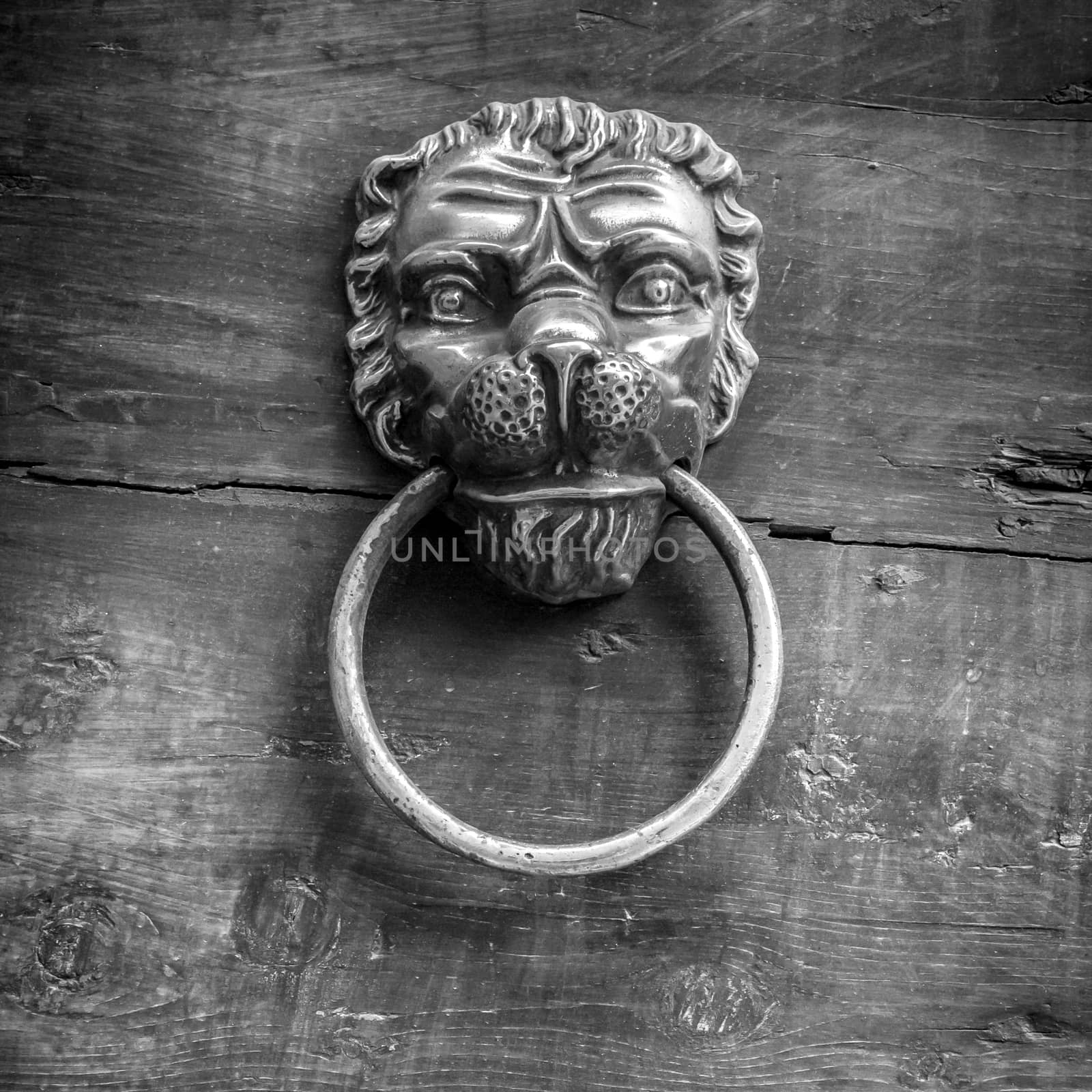 Old knocker on scratched wood door by germanopoli