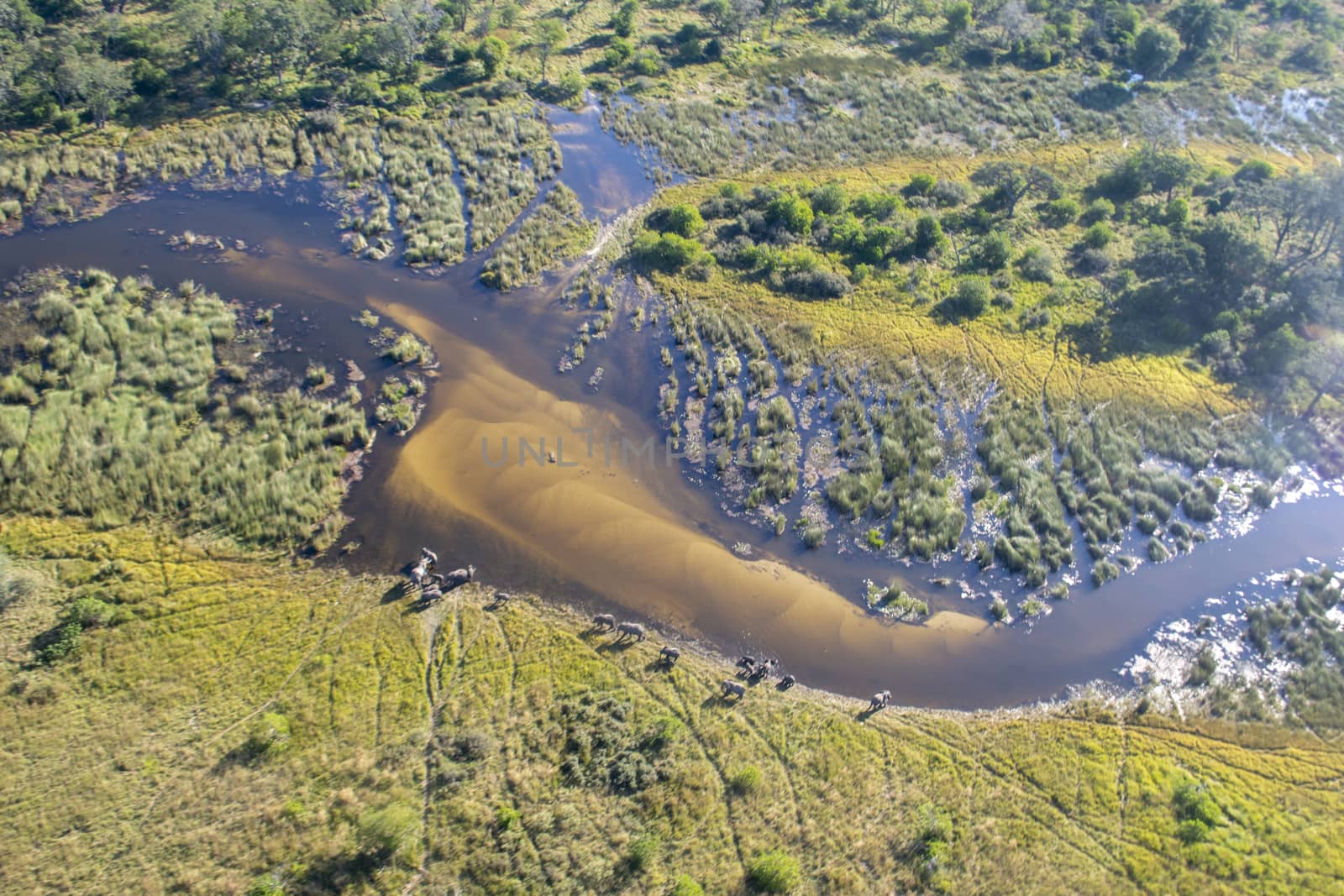 Aerial view at Moremi national park in Botswana, Africa. Travel and Tourism