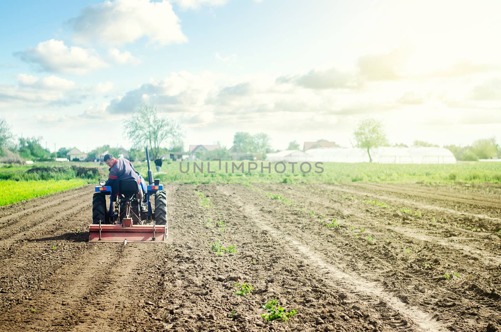 Farmer on a tractor loosens soil with milling machine. First stage of preparing soil for planting. Loosening surface, land cultivation. Use agricultural machinery. Farming, agriculture. Plowing field. by iLixe48