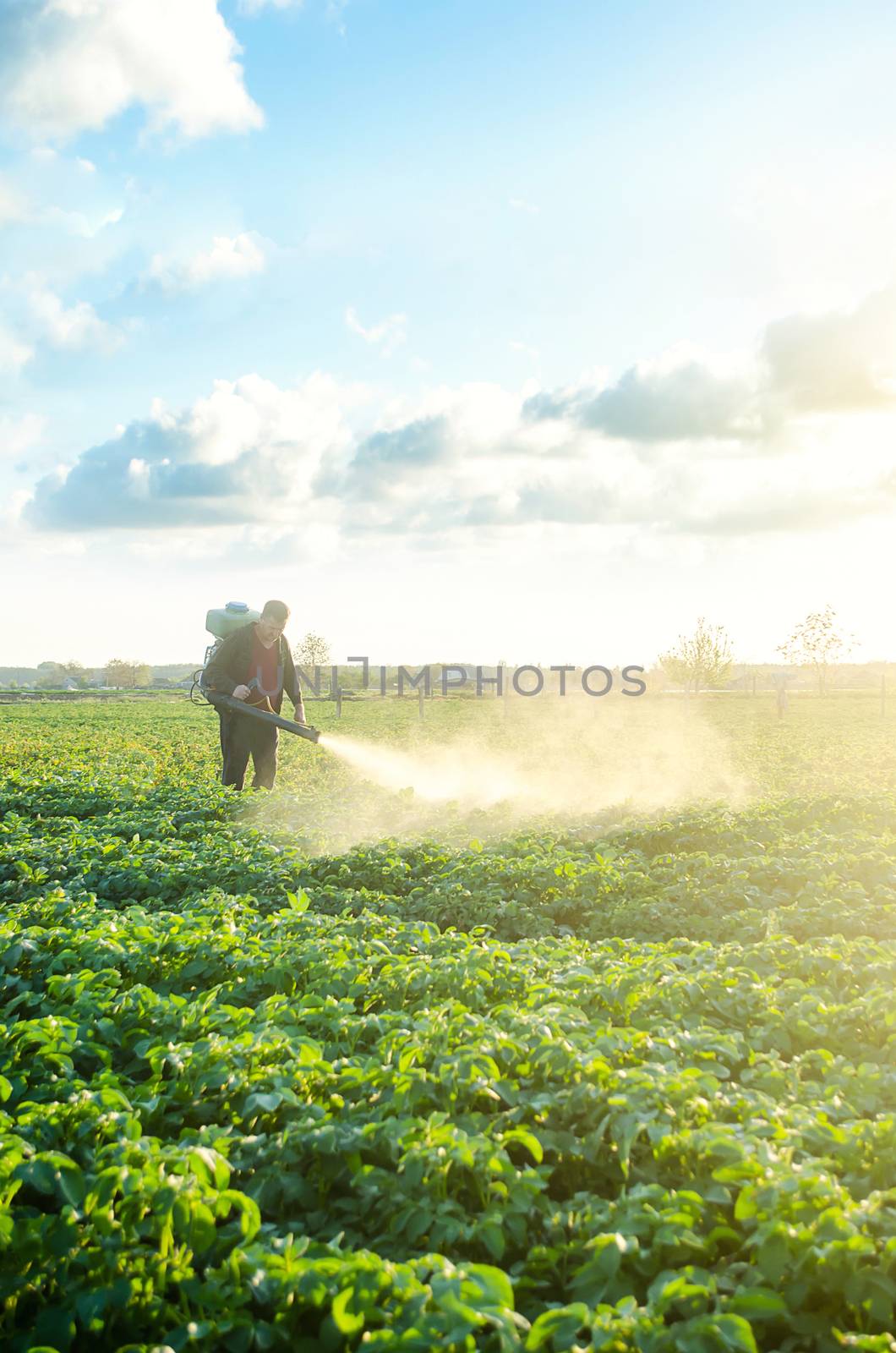 Farmer with a mist sprayer blower processes the potato plantation. Protection and care. Use of industrial chemicals to protect crops from insects and fungi. Environmental damage and chemical pollution