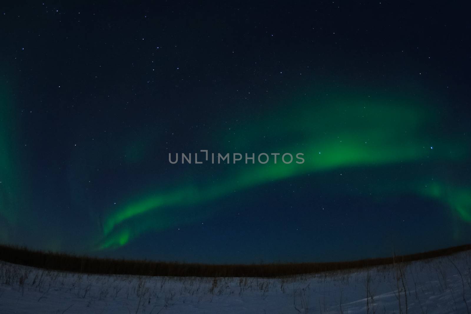 Northern Lights in night sky. Northern Lights in the tundra. by DePo