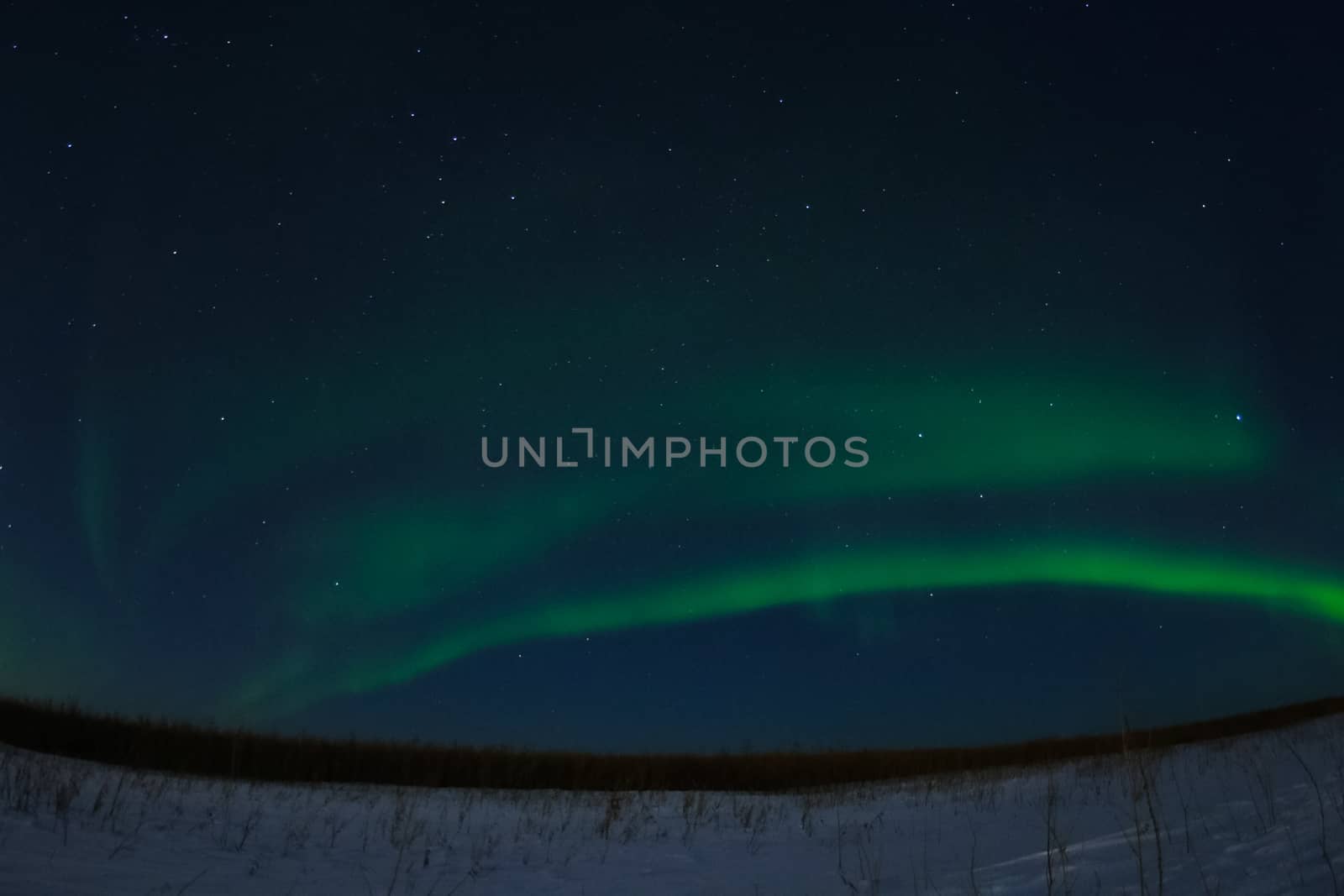 Northern Lights in night sky. Northern Lights in the tundra. by DePo