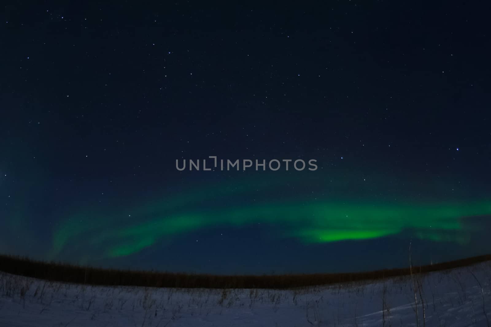 Northern Lights in night sky. Northern Lights in the tundra. by DePo