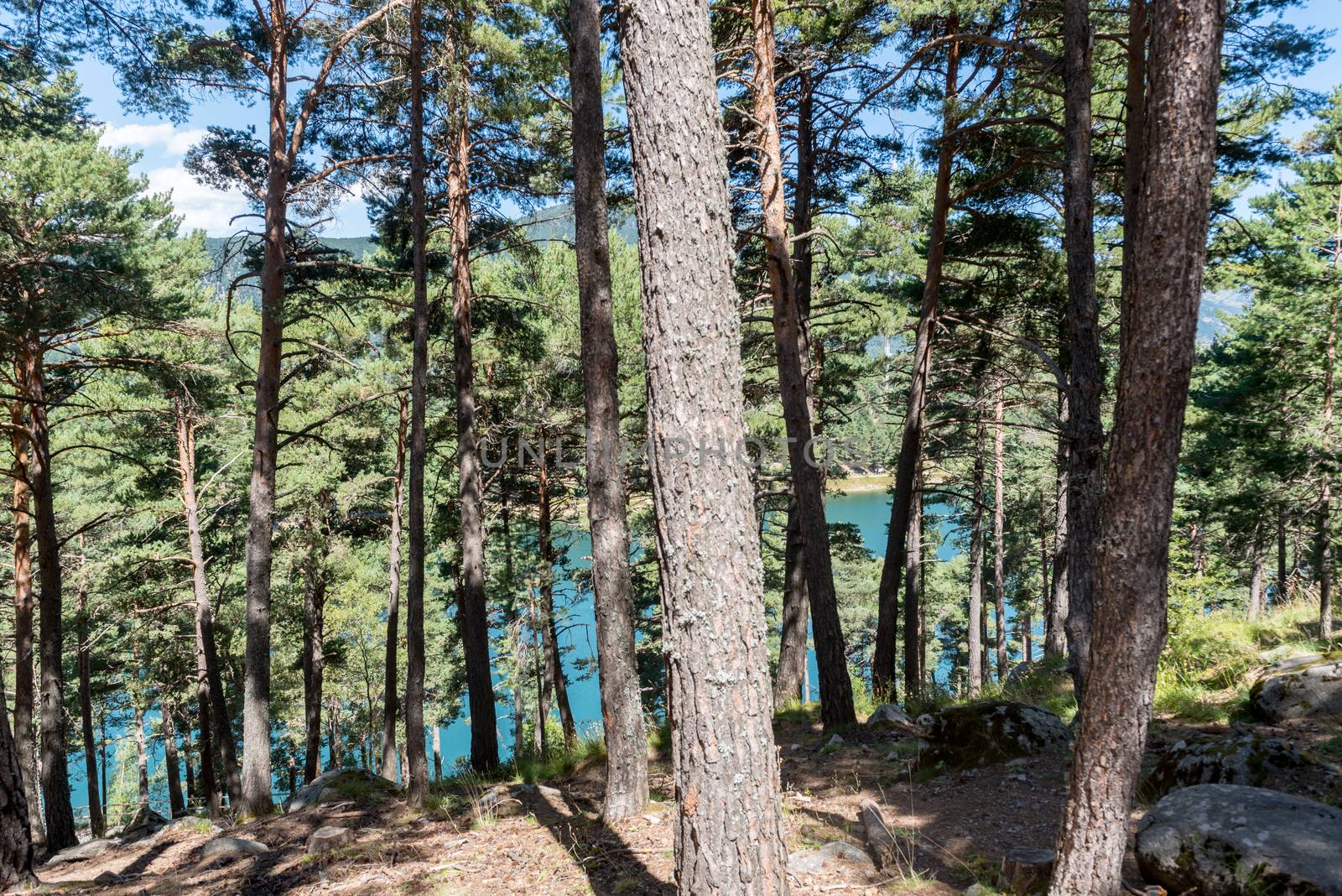 Summer afternoon at Lake Engolasters in the Pyrenees. Escaldes Engordany, Andorra.