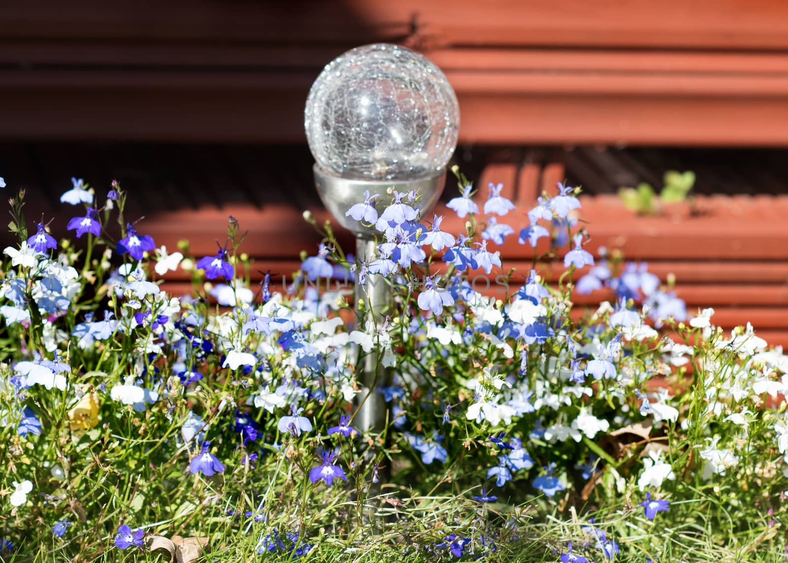 Summer purple and blue flowers and lantern in the garden