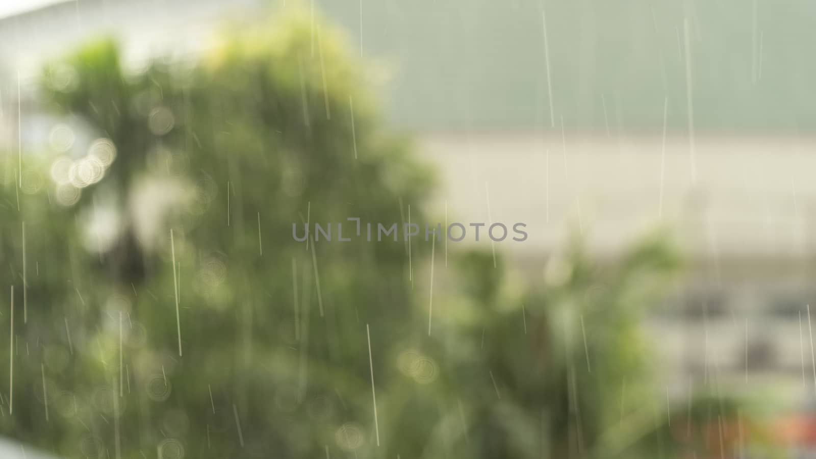 Blurred photo of a light rain or drizzle with trees in the background