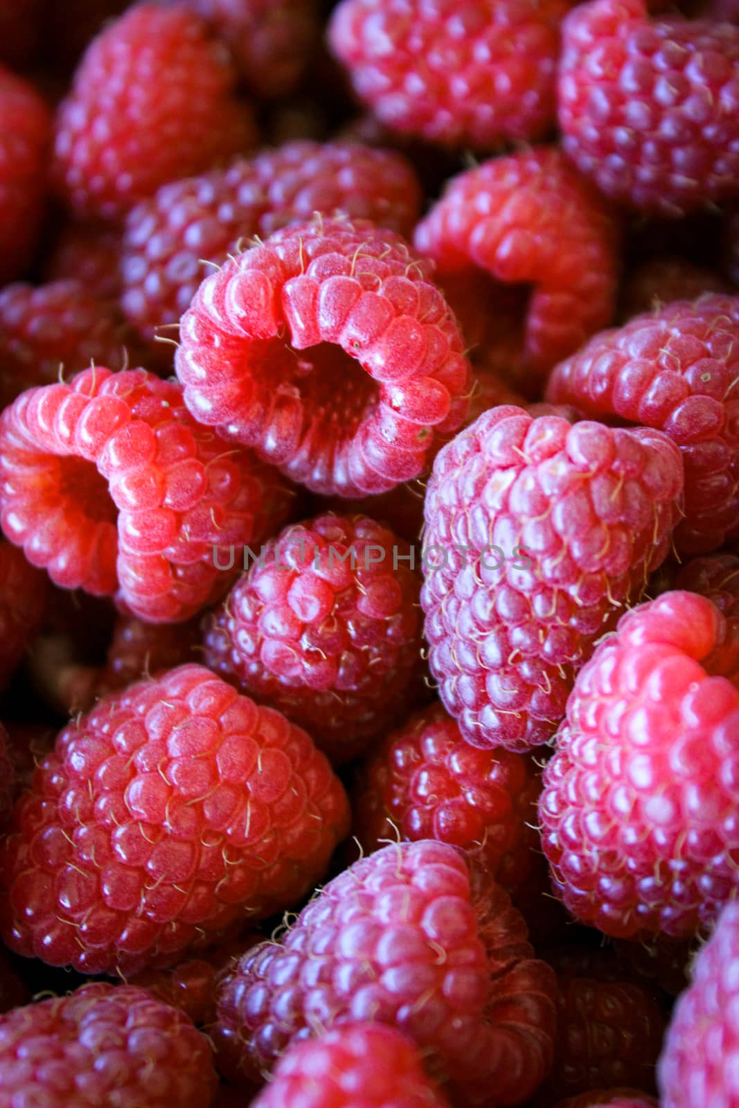 Vertical shot of raspberries. Pink raspberries. Macro. Close up. by mahirrov