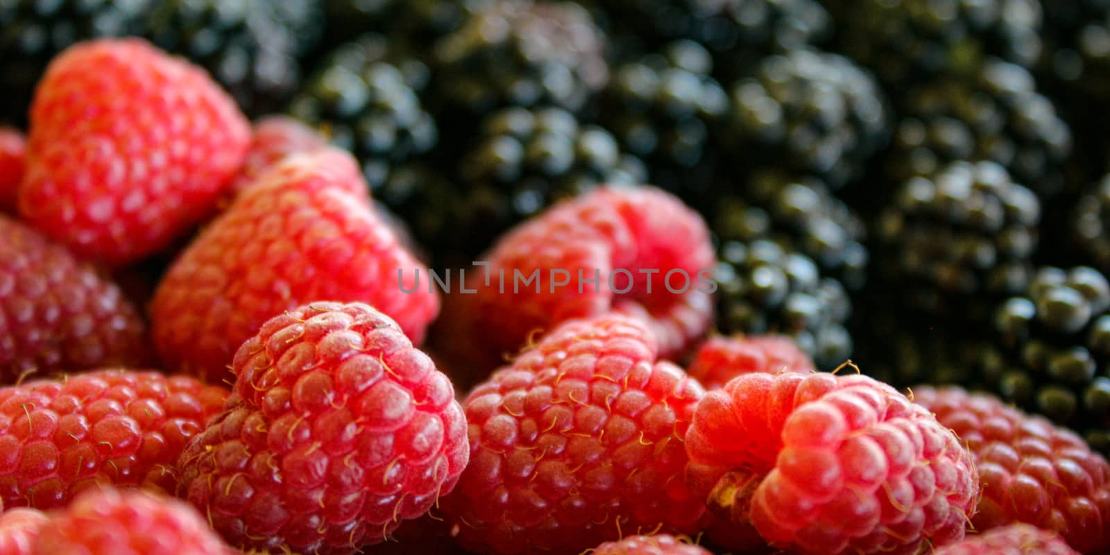 Banner. Close up of raspberries and blurred blackberries in the background. by mahirrov