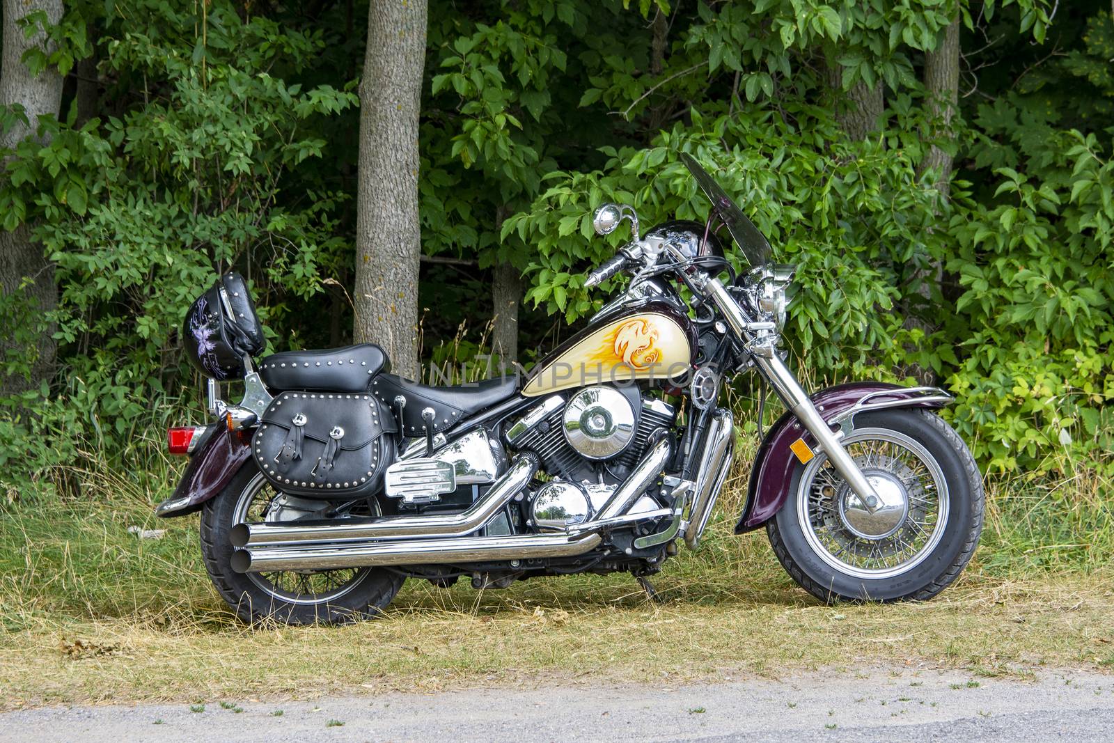 Motorcycle, photo from the side stands near the forest near a large tree
