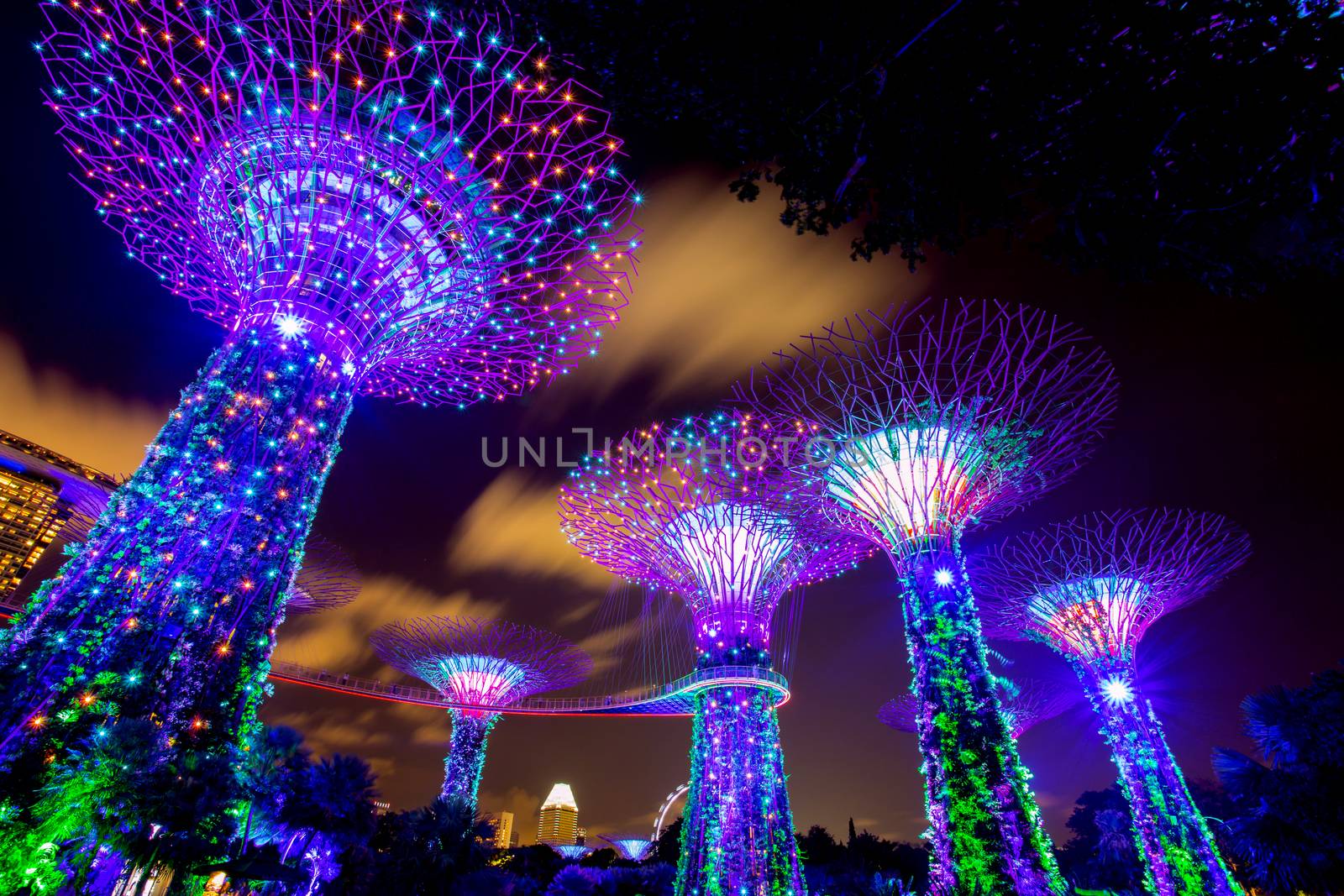 SINGAPORE - AUGUST 26, 2017: Supertrees at Gardens by the Bay. The tree-like structures are fitted with environment technology that mimic the ecology function of trees.