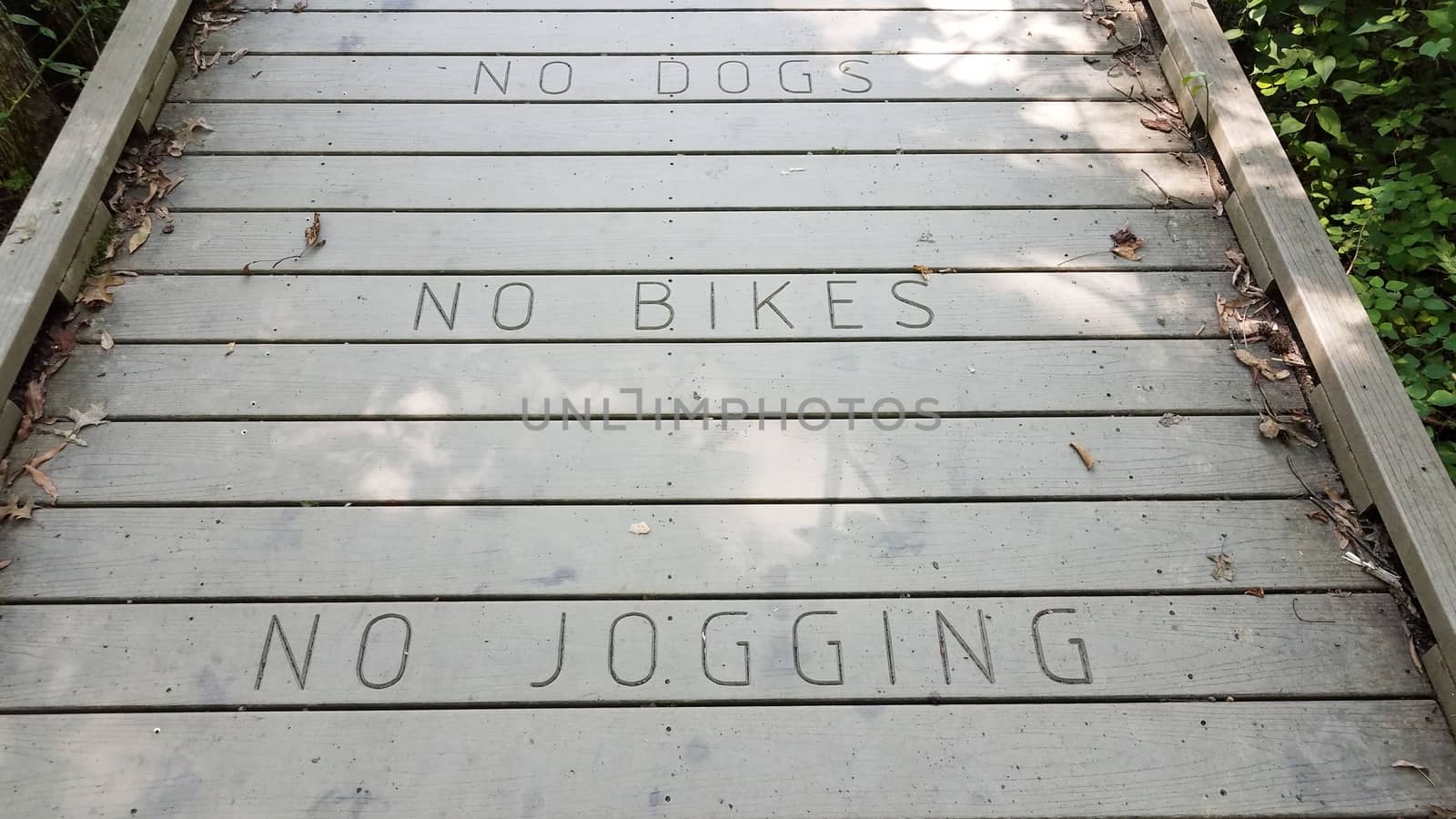 no dogs no bikes no jogging sign on wood boardwalk