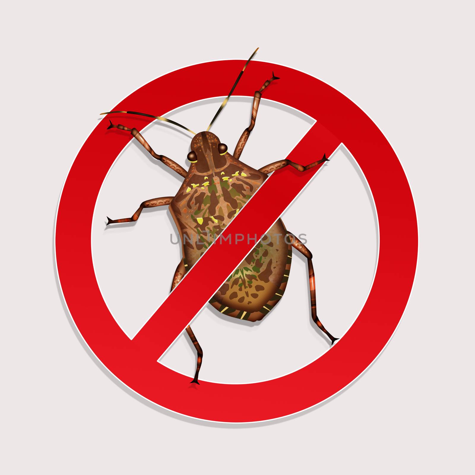 illustration of stop the bedbugs