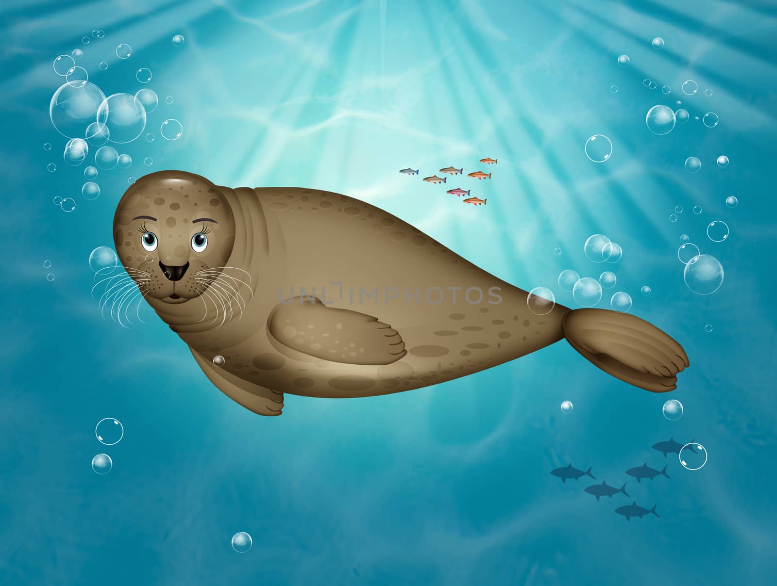illustration of seal in the ocean