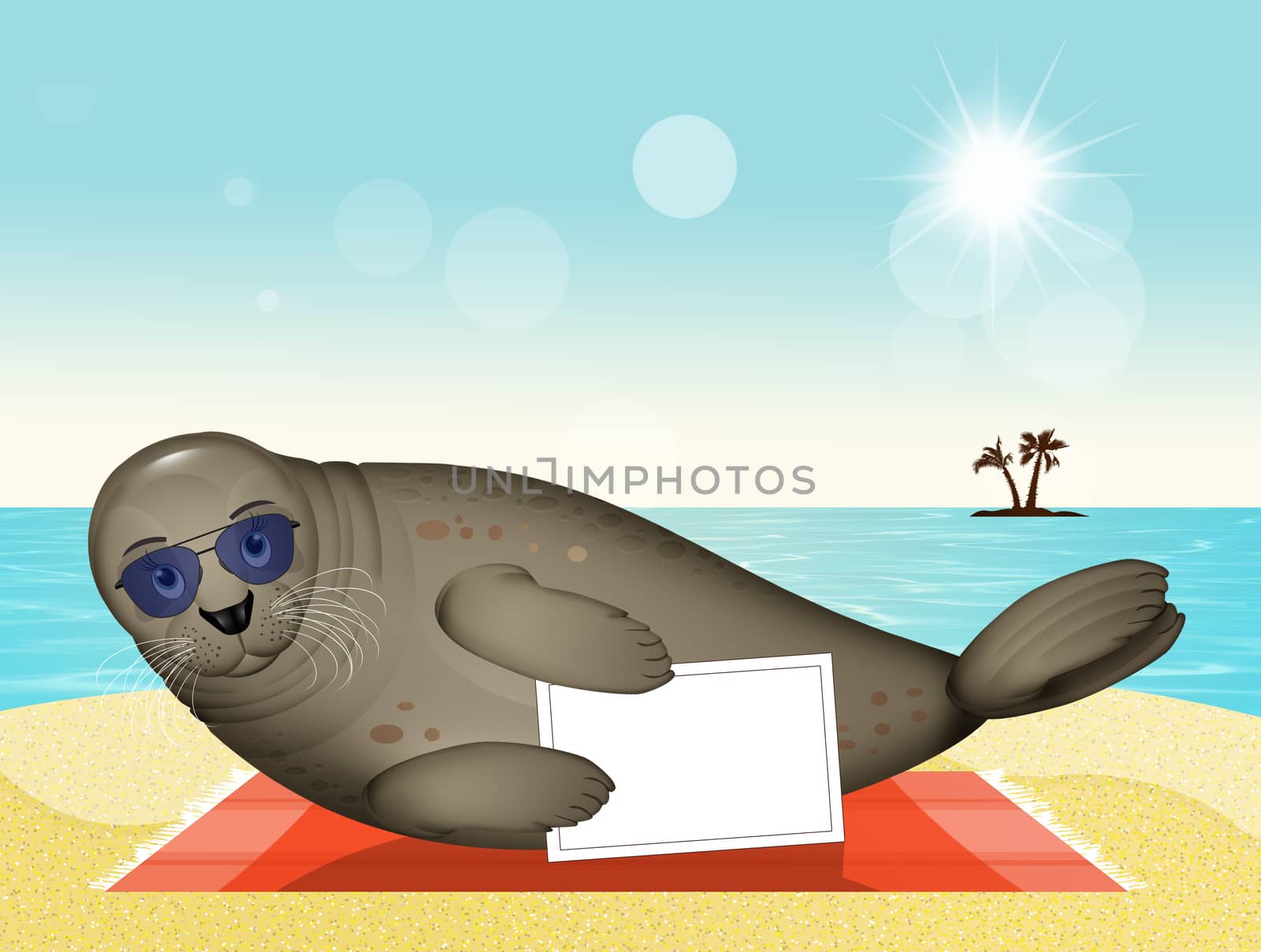illustration of seal tanned on the beach
