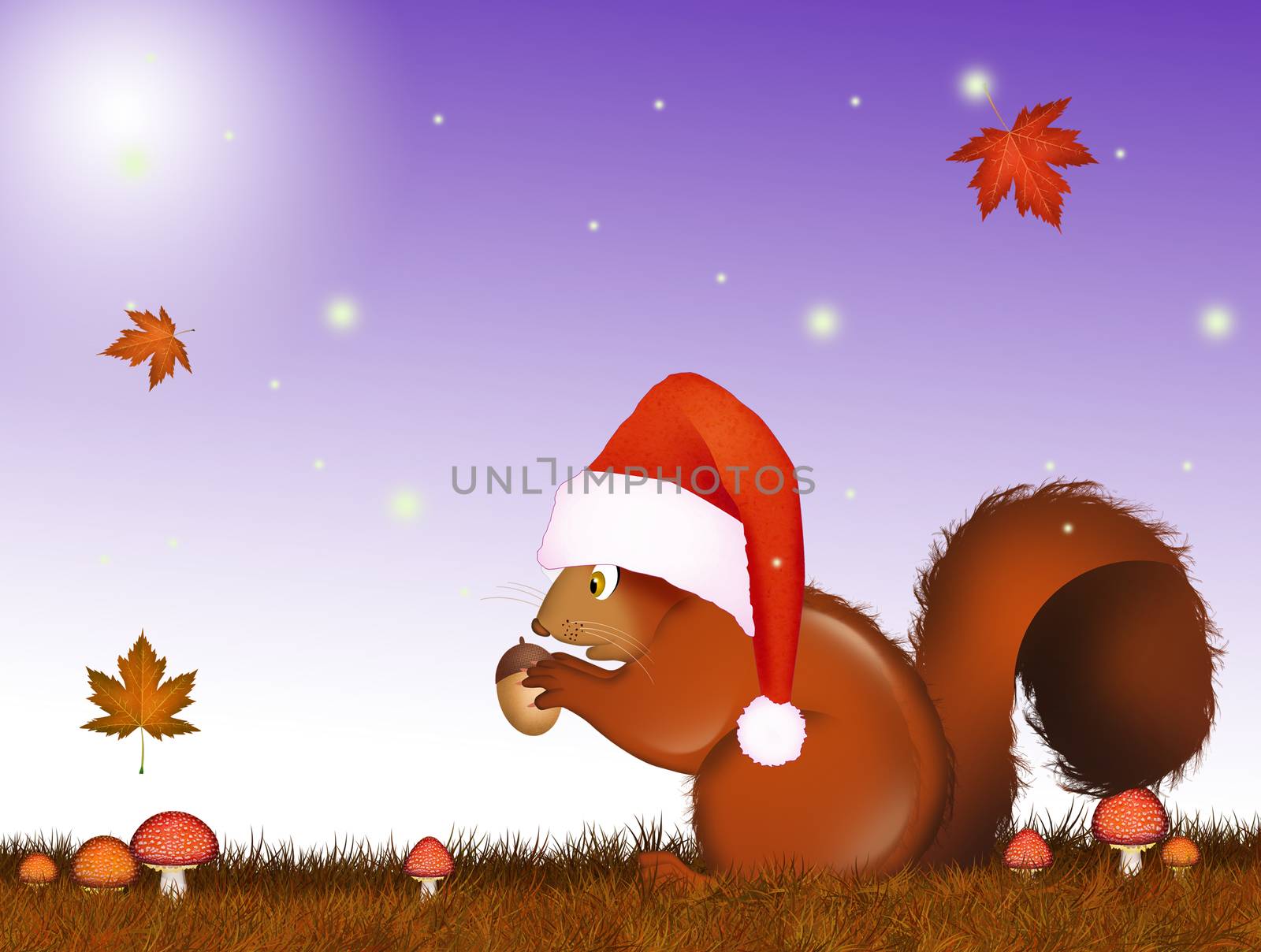 illustration of squirrel at Christmas