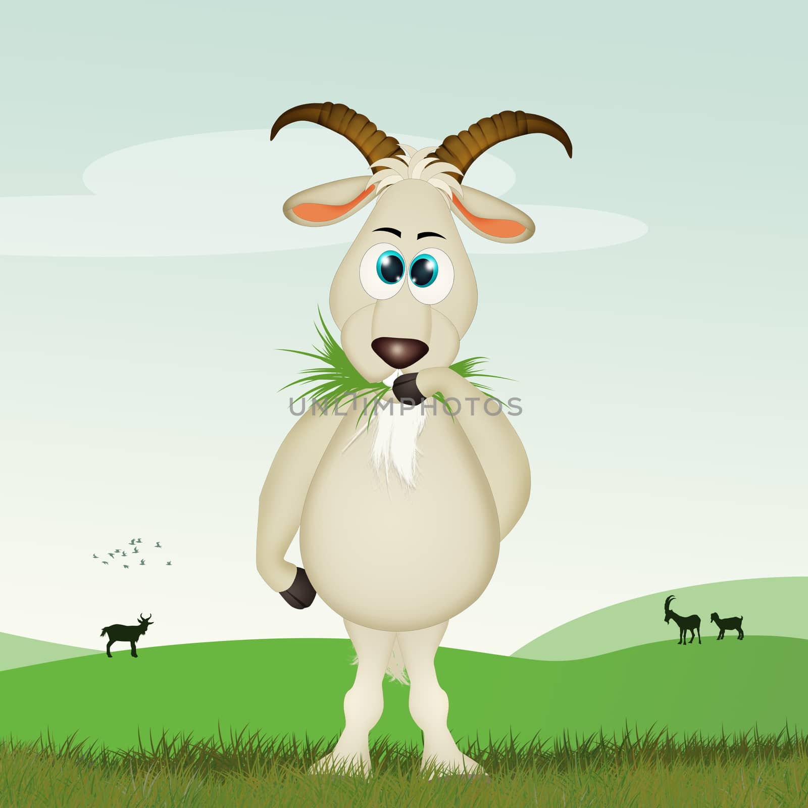 illustration of goat eat grass