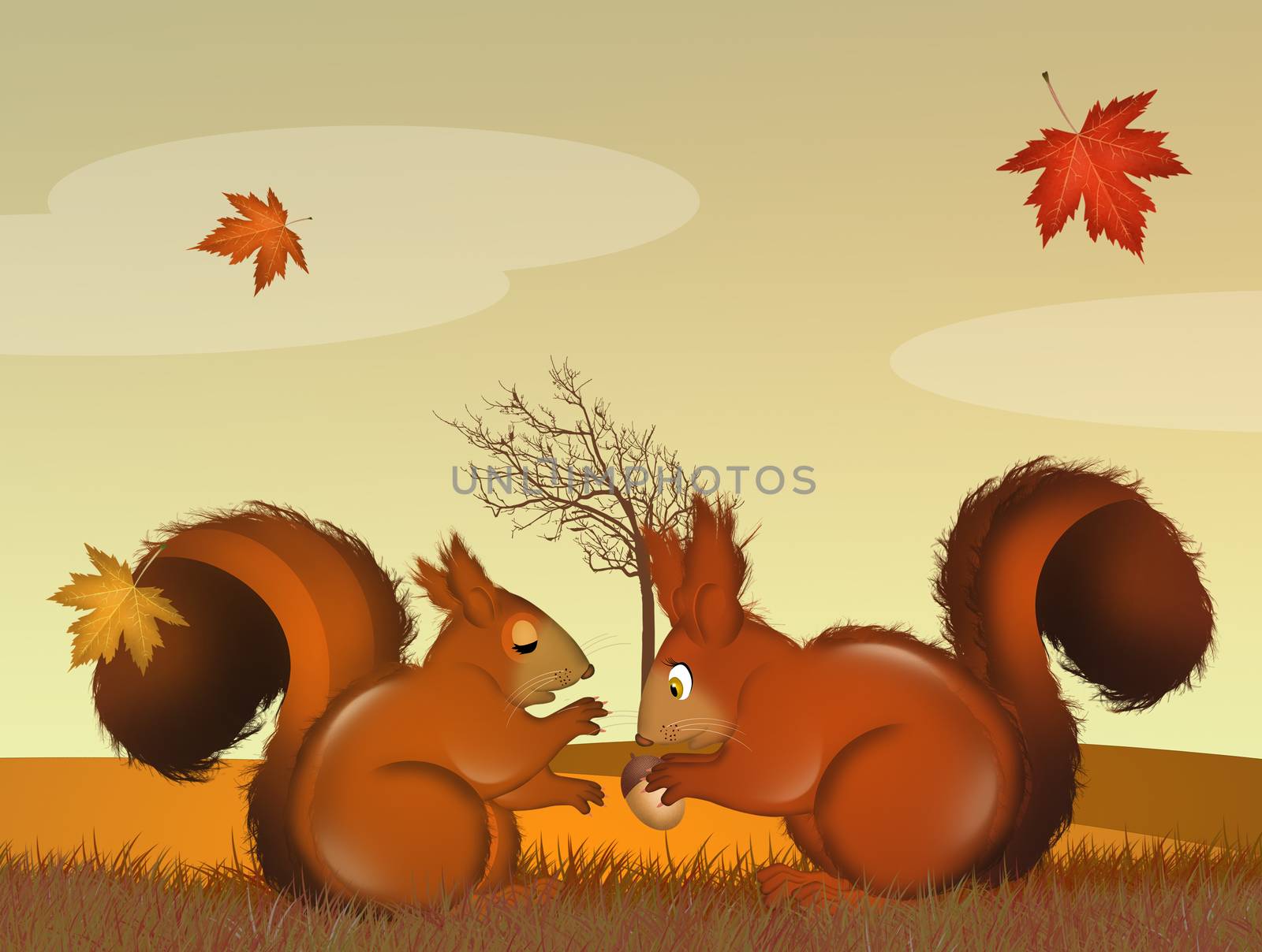 illustration of squirrels couple