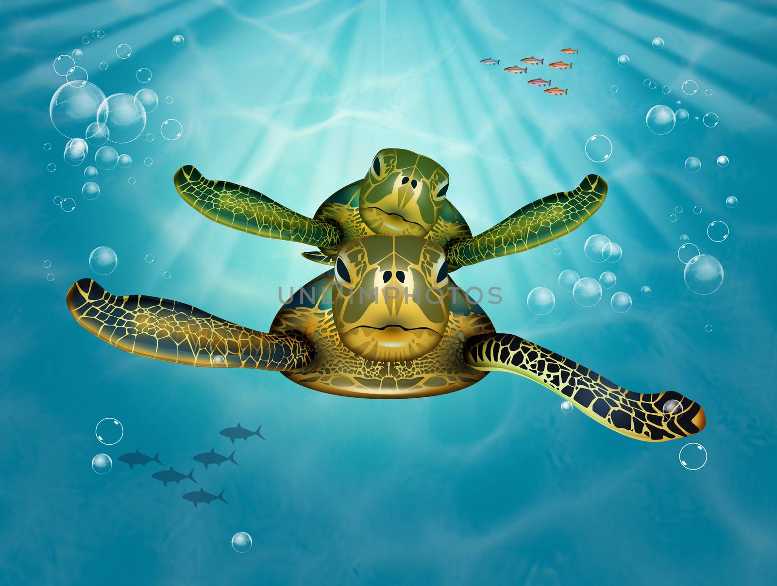 illustration of sea turtles by adrenalina